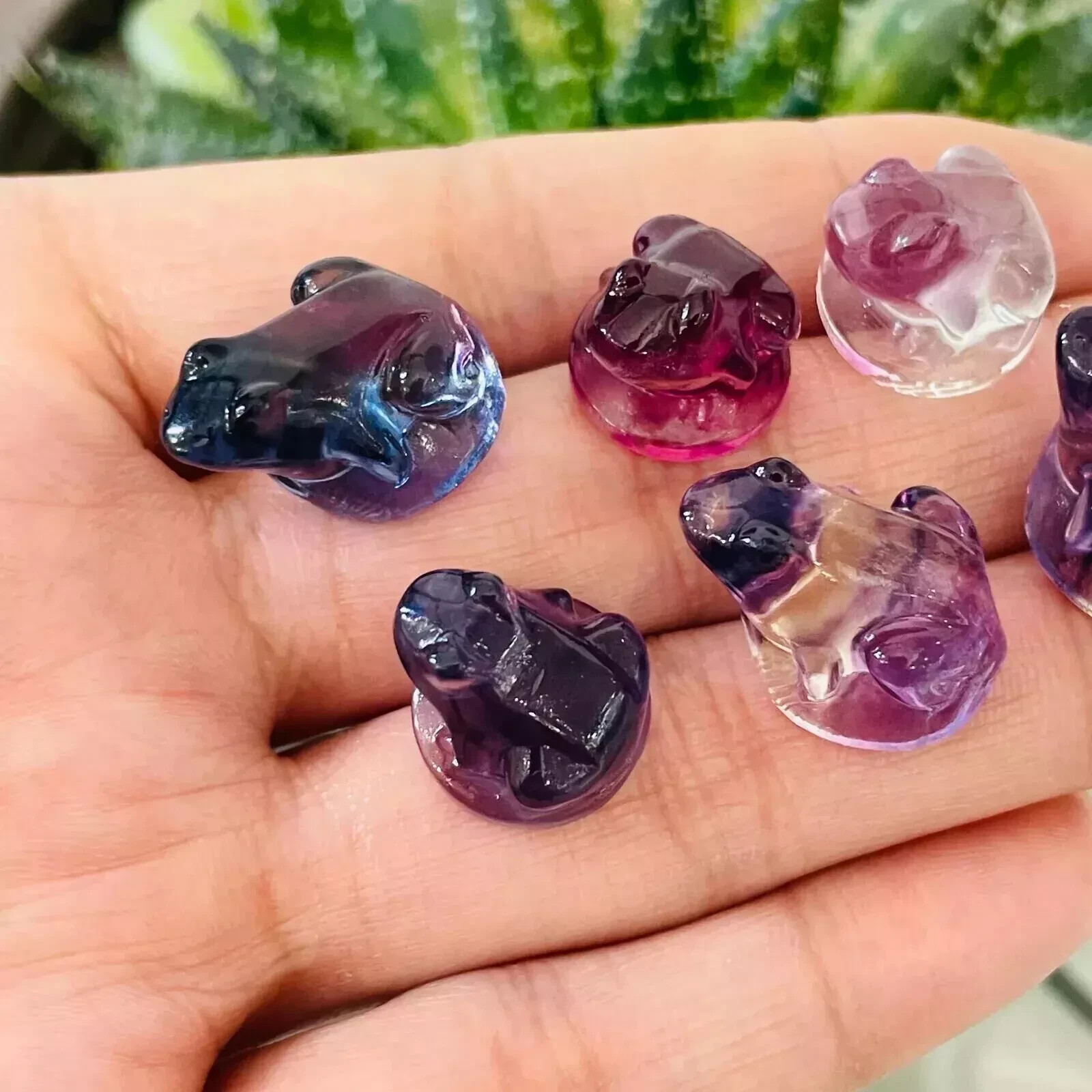 5pc Natural fluorite carved mini frog skull gift quartz crystal reiki healing