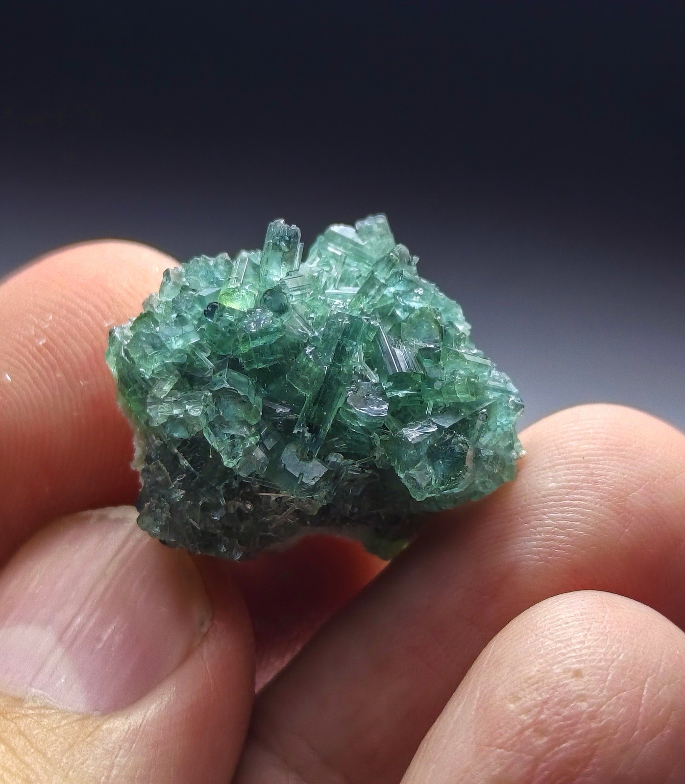 Natural Bluesh Tourmaline Crystal Cluster | Collector Mineral Specimen