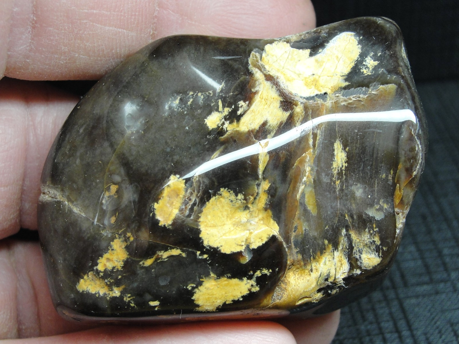 Teredo – Petrified Wood – North Dakota – M-5144 – 68.99g FOUND BY ME and THE FAM