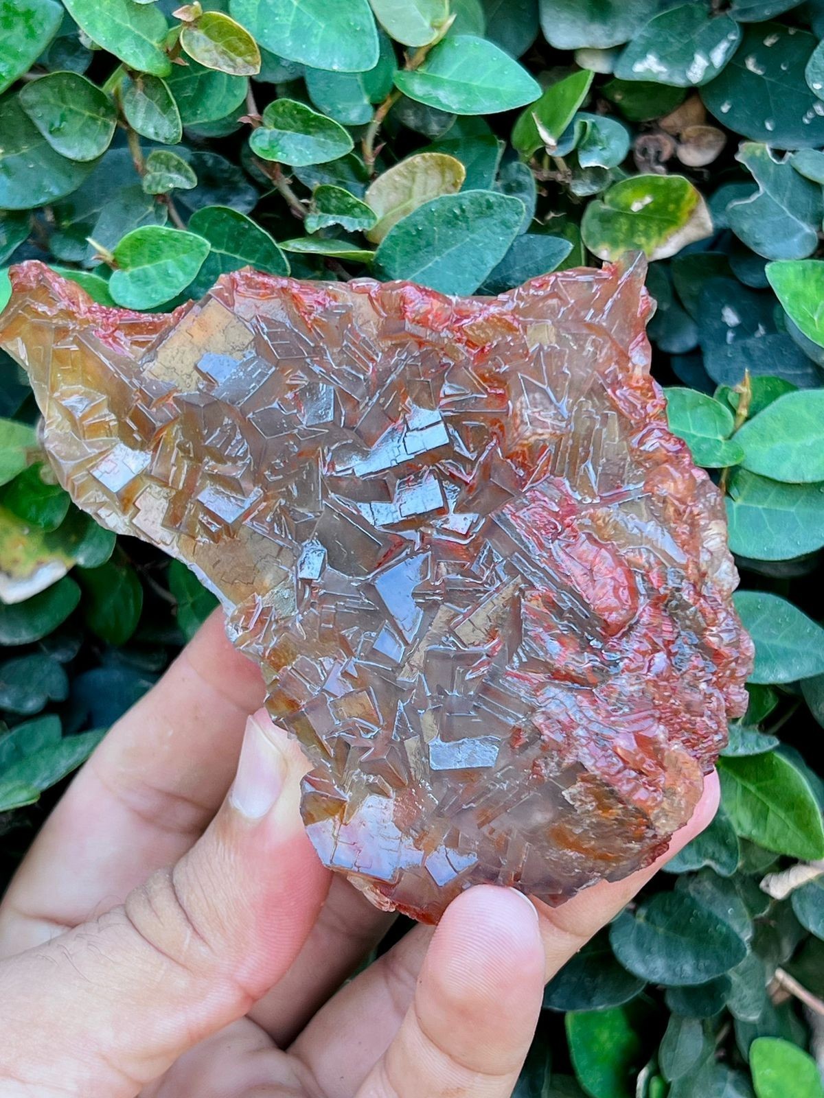 Natural Fluorite Crystal Specimen 450g Unique Red & Brown Cubic Formation