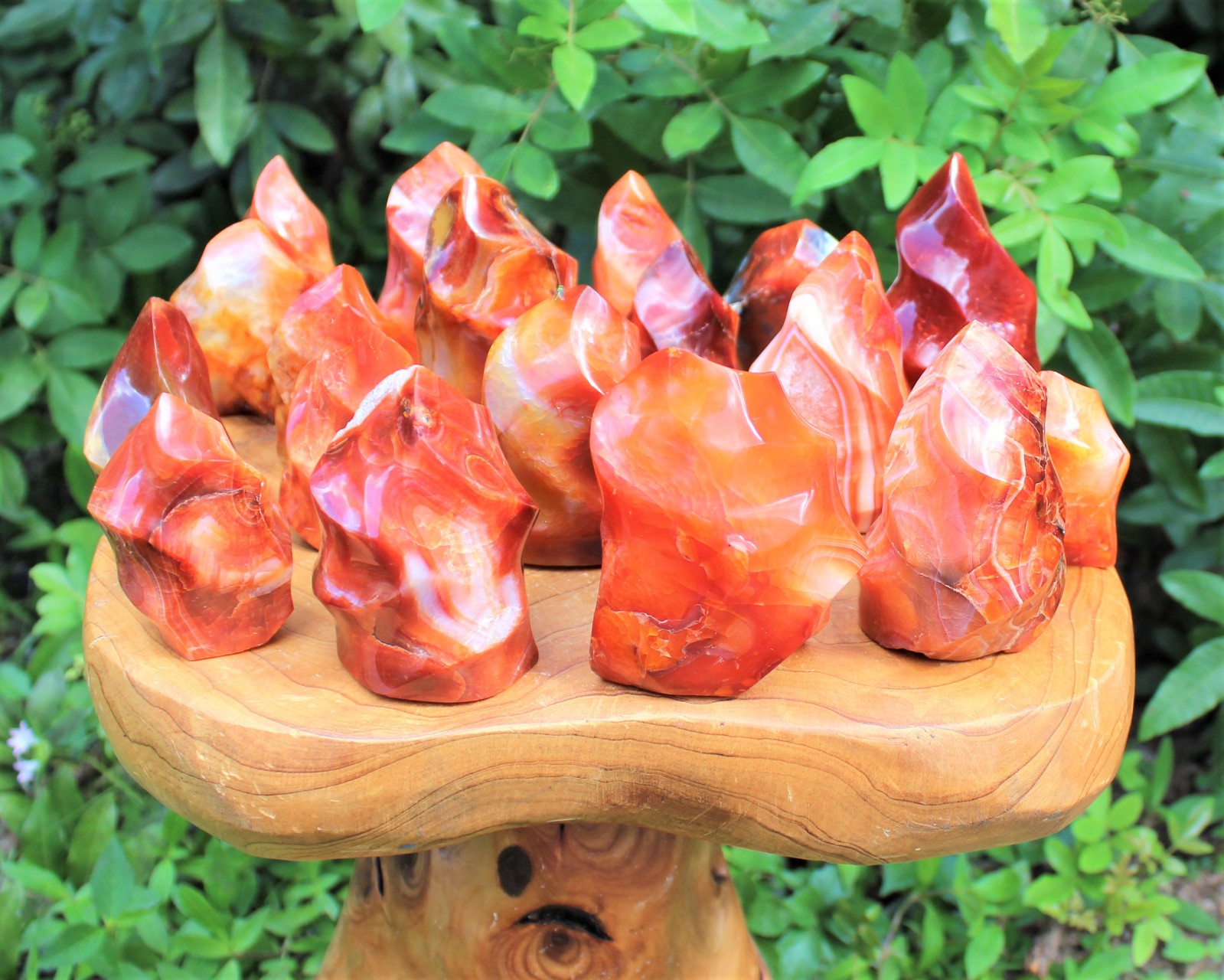 Carnelian Crystal Flame: Cut Base Free Standing, Display Specimen – Choose Size