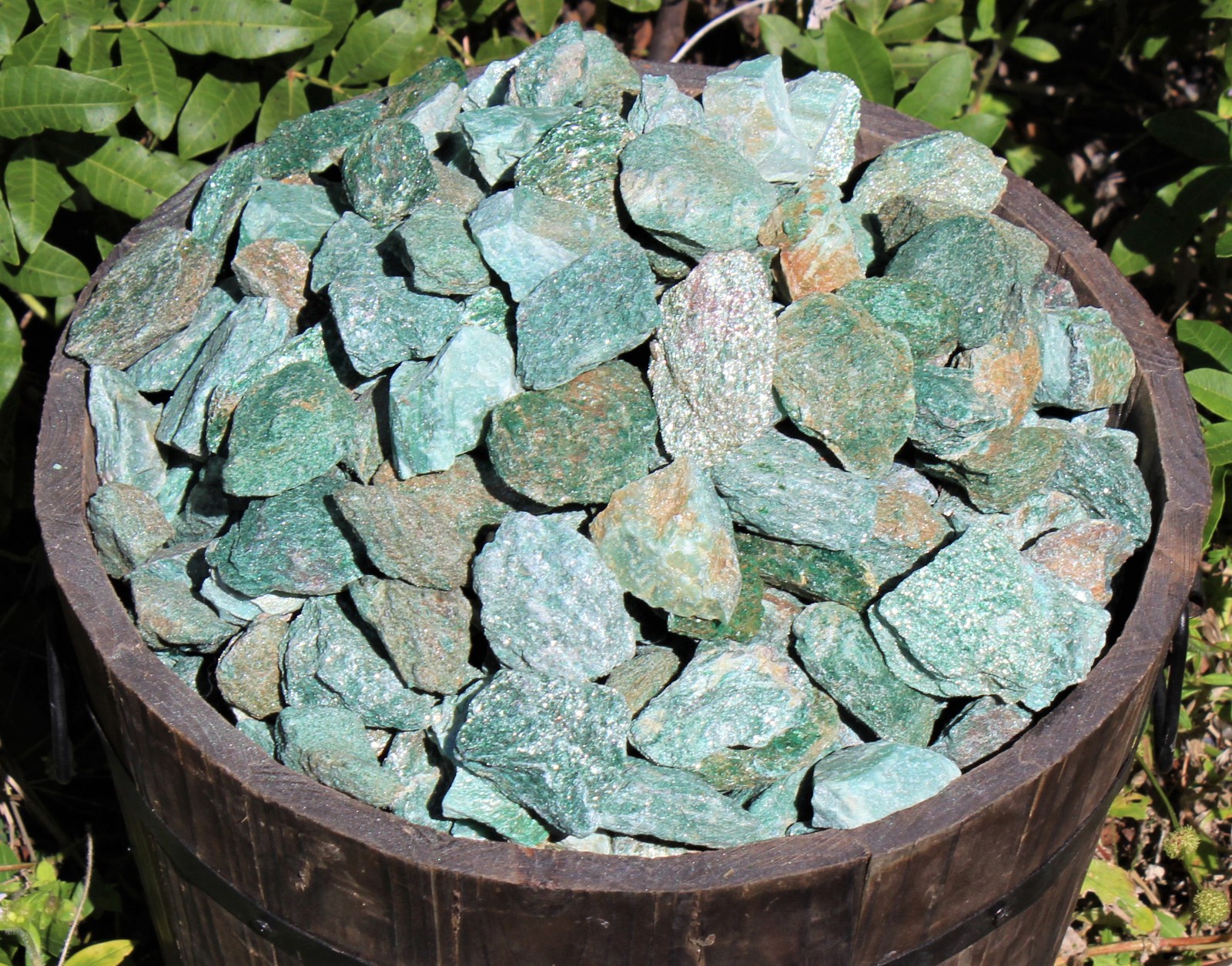 Fuchsite Natural Rough Stone Gift Box: 10 – 16 Pieces (Raw Fuchsite Crystals)