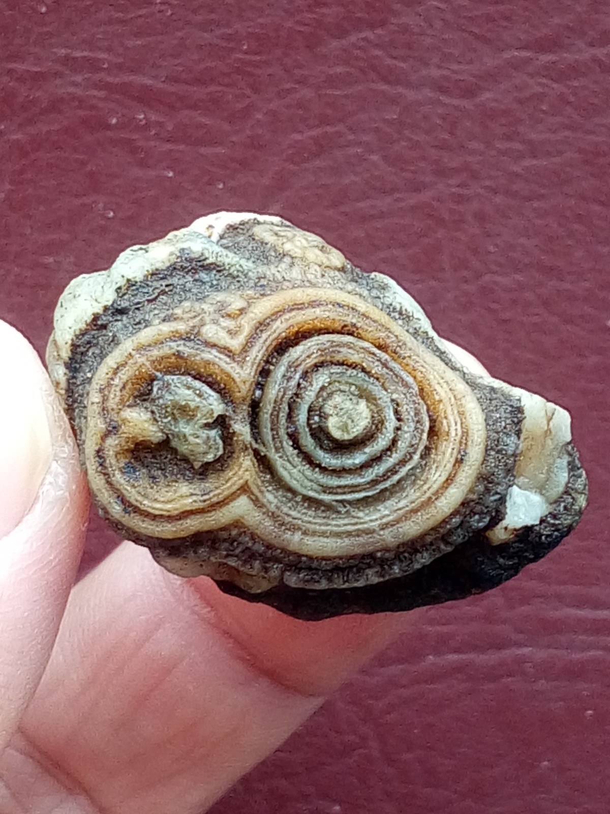 34mm Natural agate Gobi agate eye agate cute collection