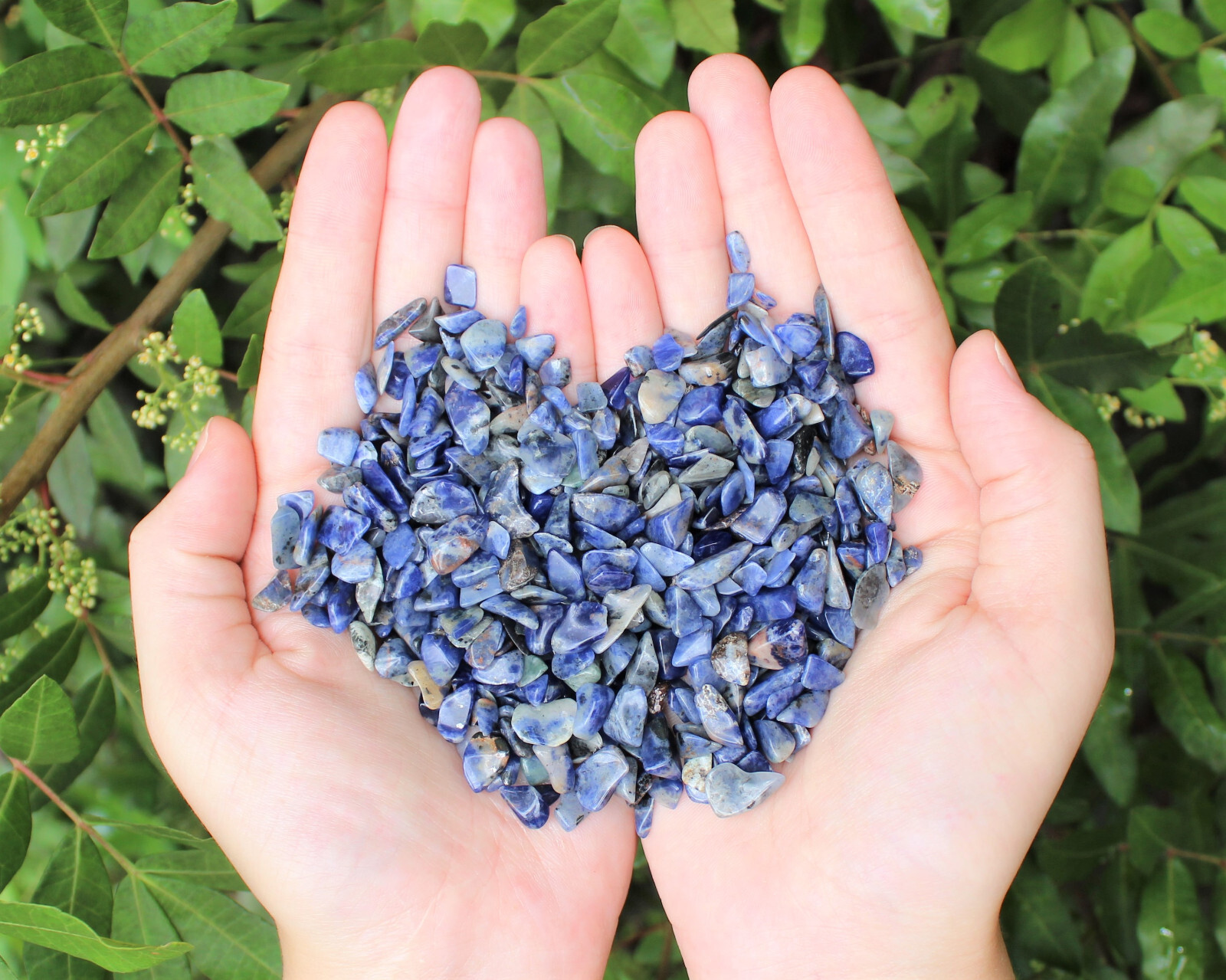 Sodalite Semi Tumbled Gemstone Mini Chips 5 – 8 mm Lots (Sodalite Crystal Chips)