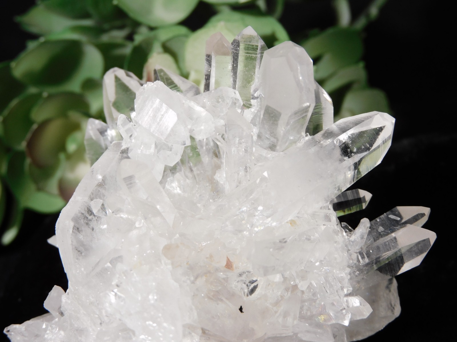 VERY TRANSLUCENT Quartz Crystal Cluster Collier Creek ARKANSAS 135gr