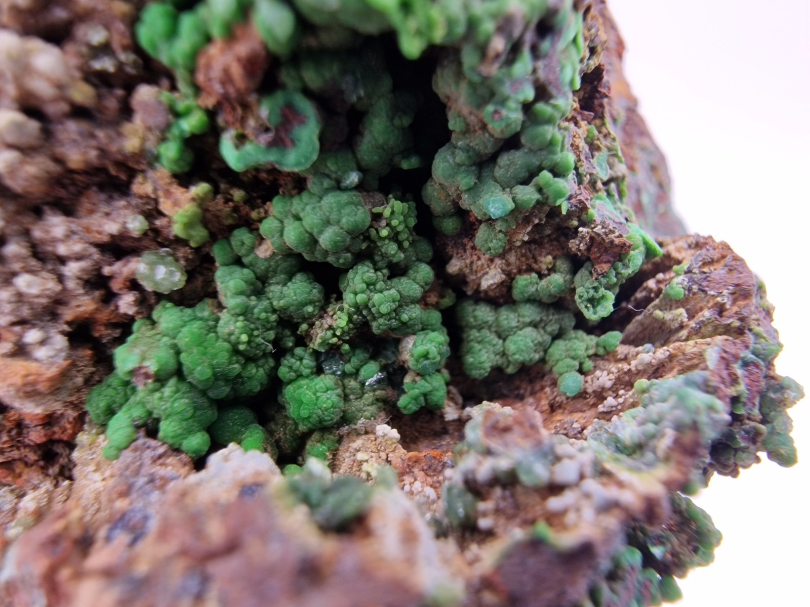 Conichalcite crystals From Lavrion , Greece