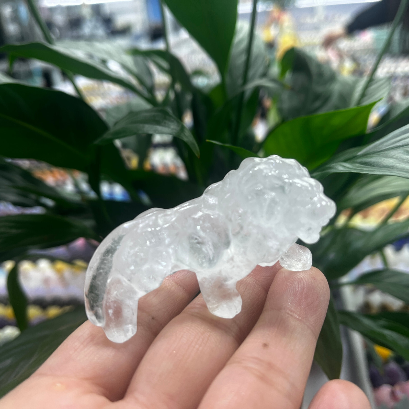 2″Natural clear Quartz Hand Carved Lion Skull Crystal Healing GEM gift decor 1pc