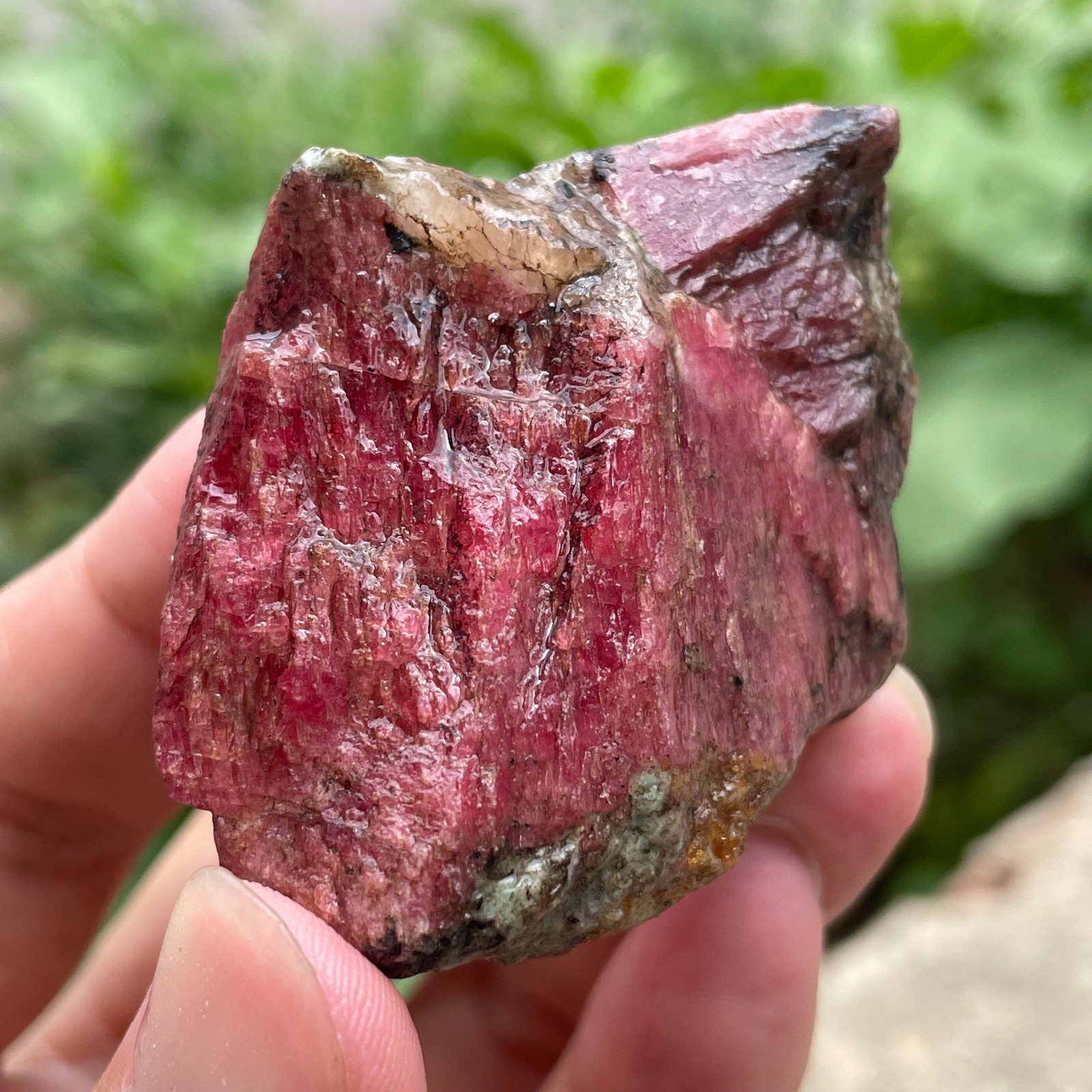 98g Small Raw Ore Red Black Rhodonite Quartz Gemstone Mineral Specimen