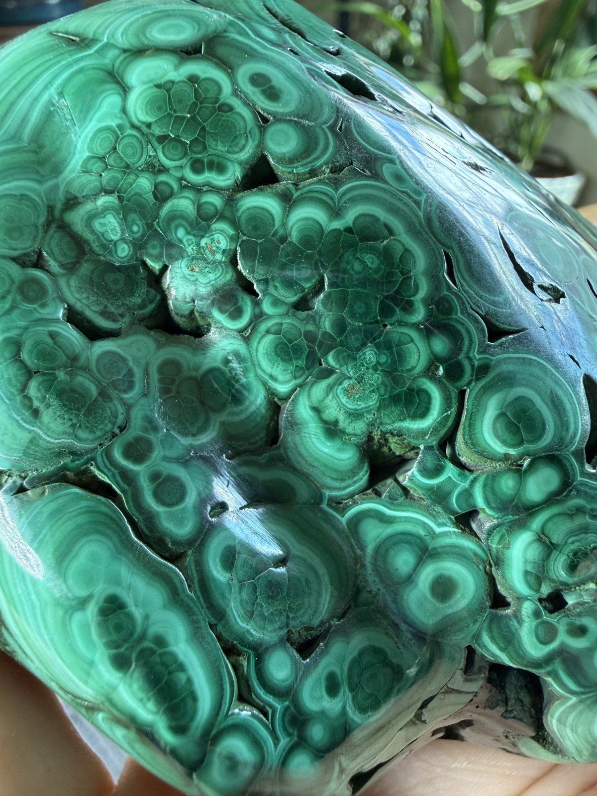 Polished Malachite Freeform – Congo – 1.42 lbs