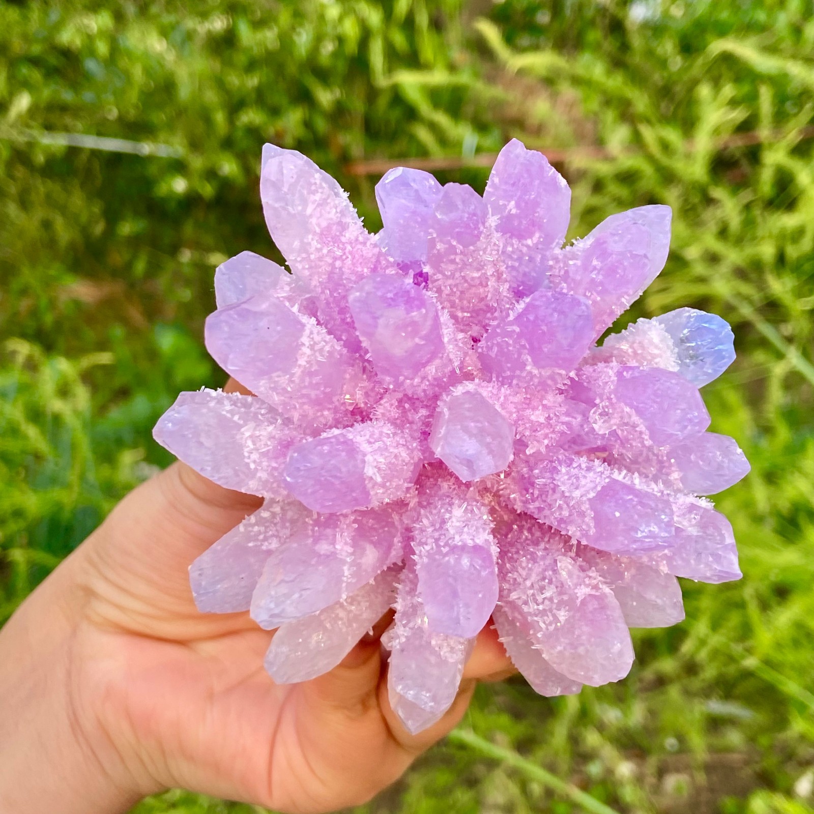 416G New Find PURPLE Phantom Cluster MineralSpecimen