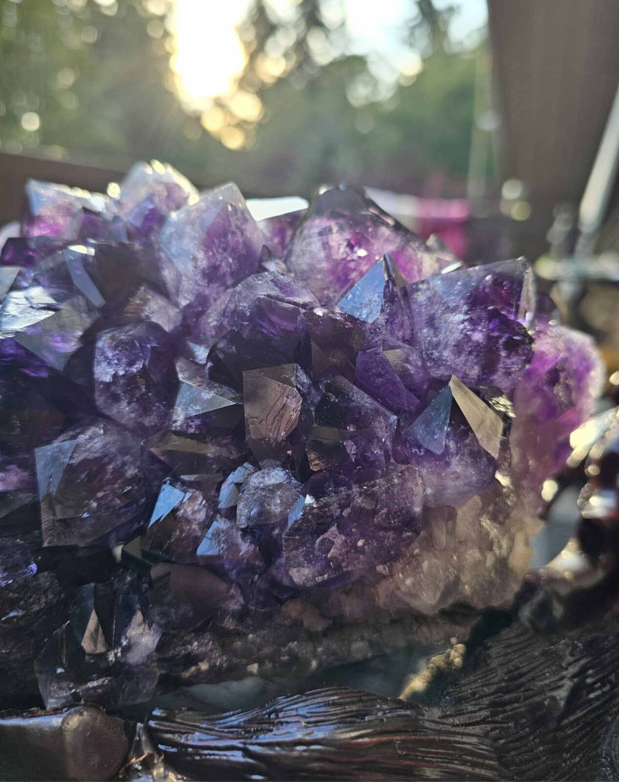 Rare Feng Shui Dragon Turtle with Large Amethyst Cluster