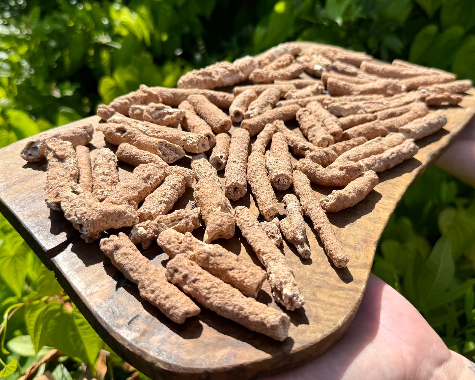 RARE Fulgurite Crystals, Natural Lightning Formed Fulgurite Wholesale Bulk Lots
