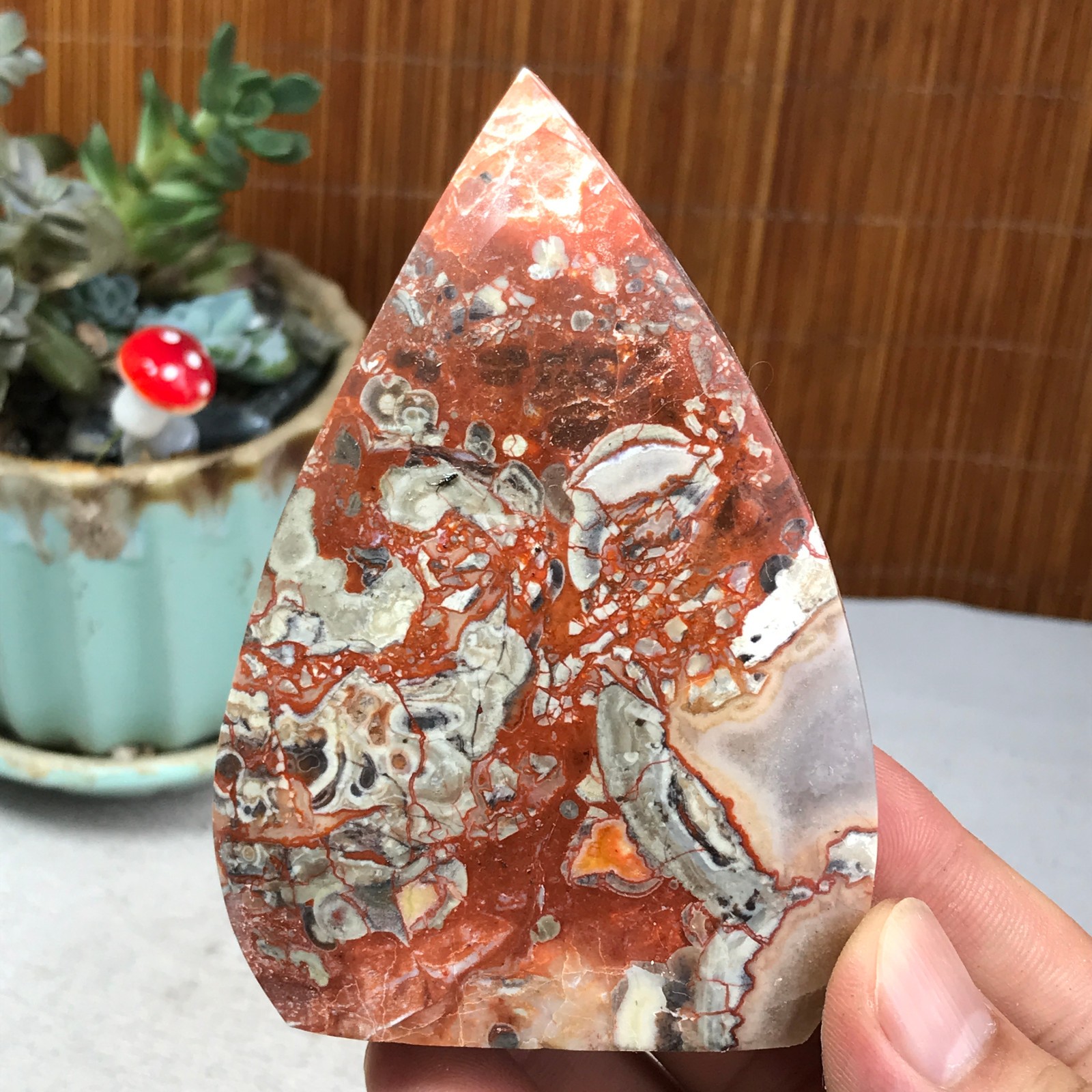 Natural money Mexico agate hand carve leaf Crystal Specimen free standing A6257