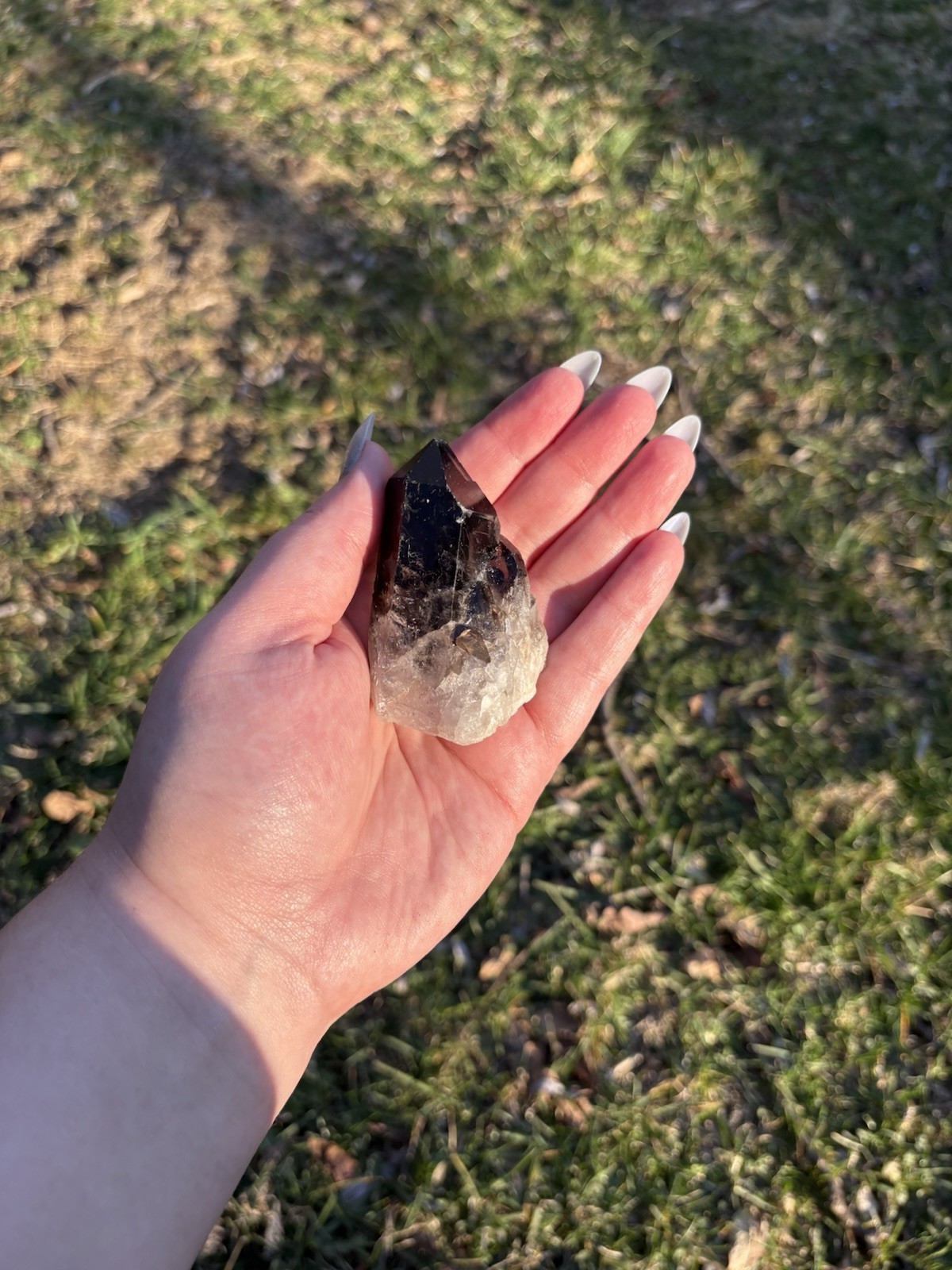 Smoky Quartz Crystal Cluster- Natural 2.7” Raw Smoky Quartz Crystal Specimen