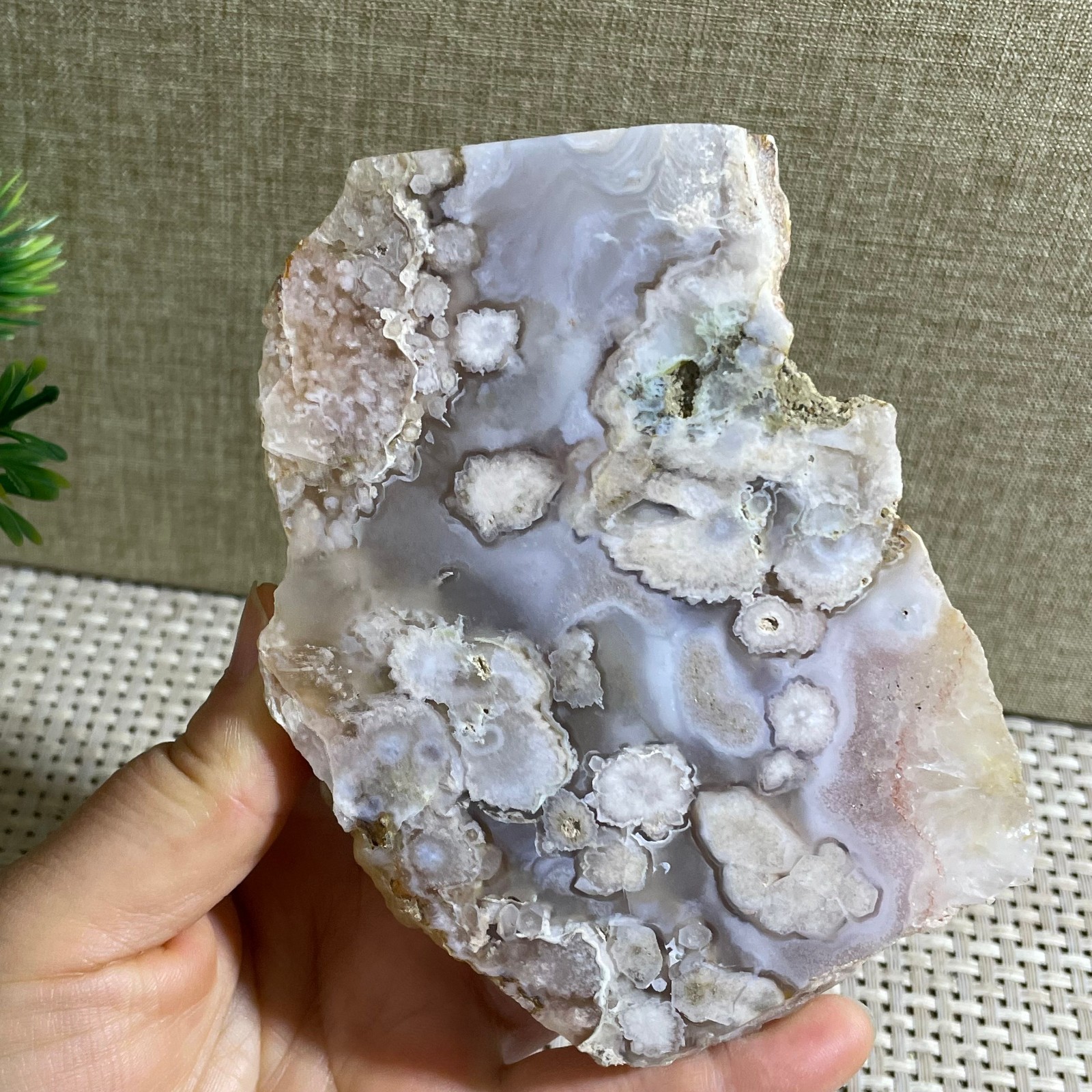 Sakura Agate Blossom Facet Rough Specimen Madagascar 310g g18