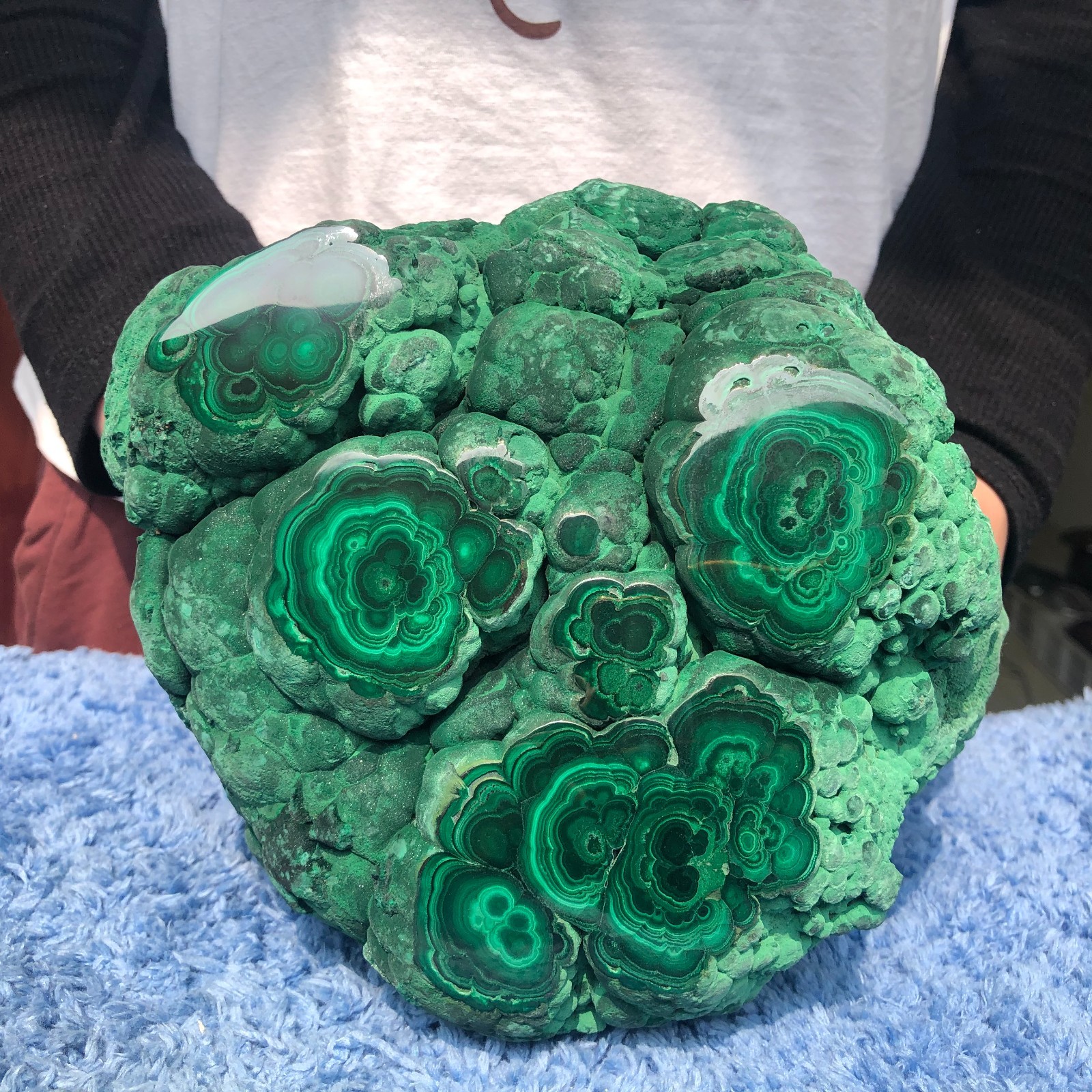10.4LB Natural glossy malachite cat eye quartz crystal mineral specimen Healing