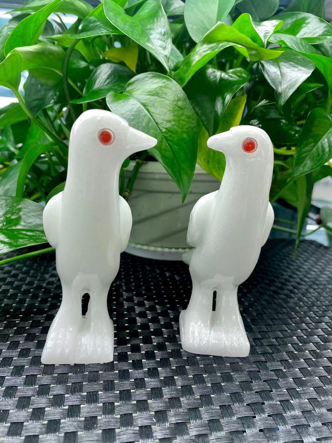 Natural White jade Quartz Crystal Carved Bird Skull Decor Healing random 1pc