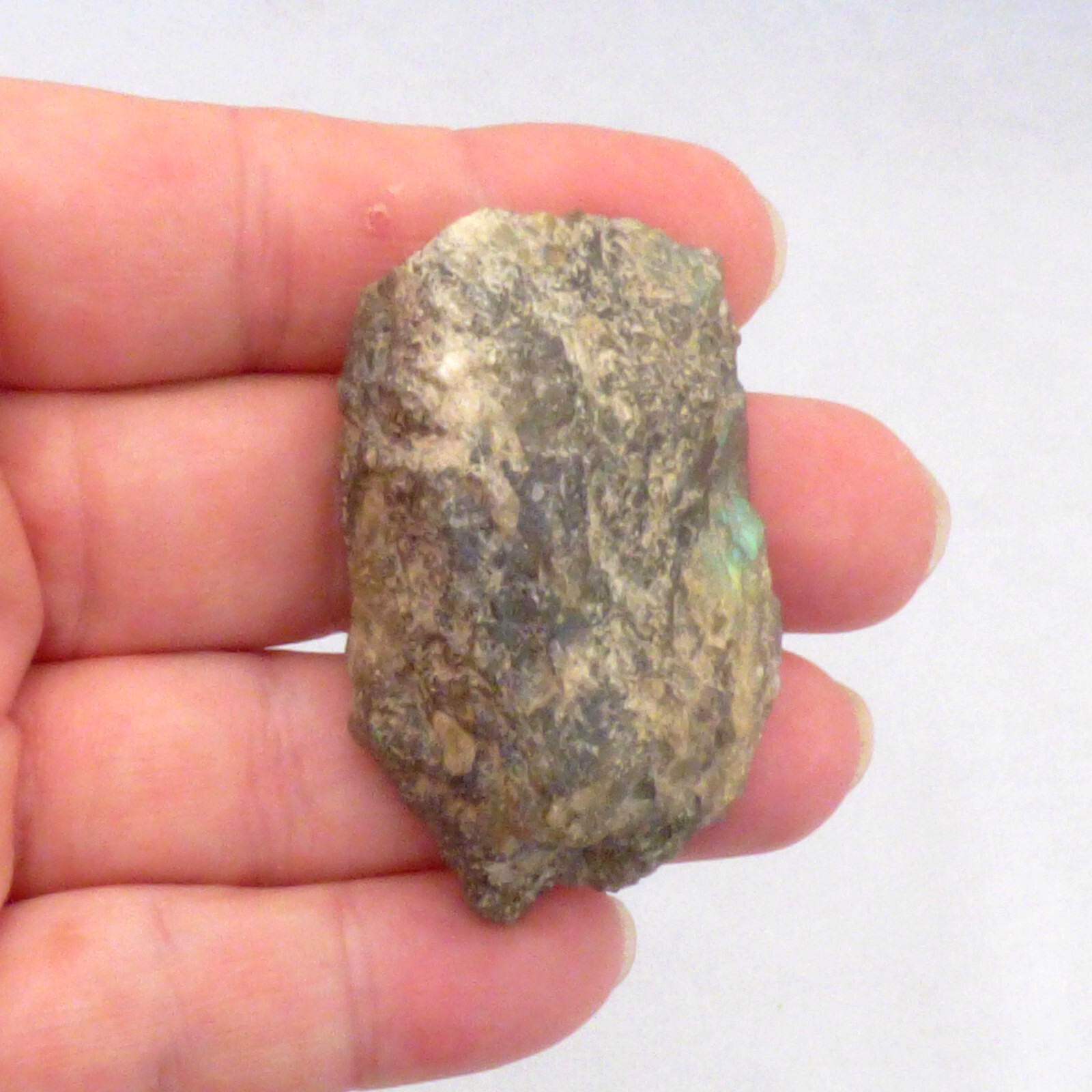 Labradorite Slice Blue Green Flash Iridescent Lustre Semi Polished Piece 5cm