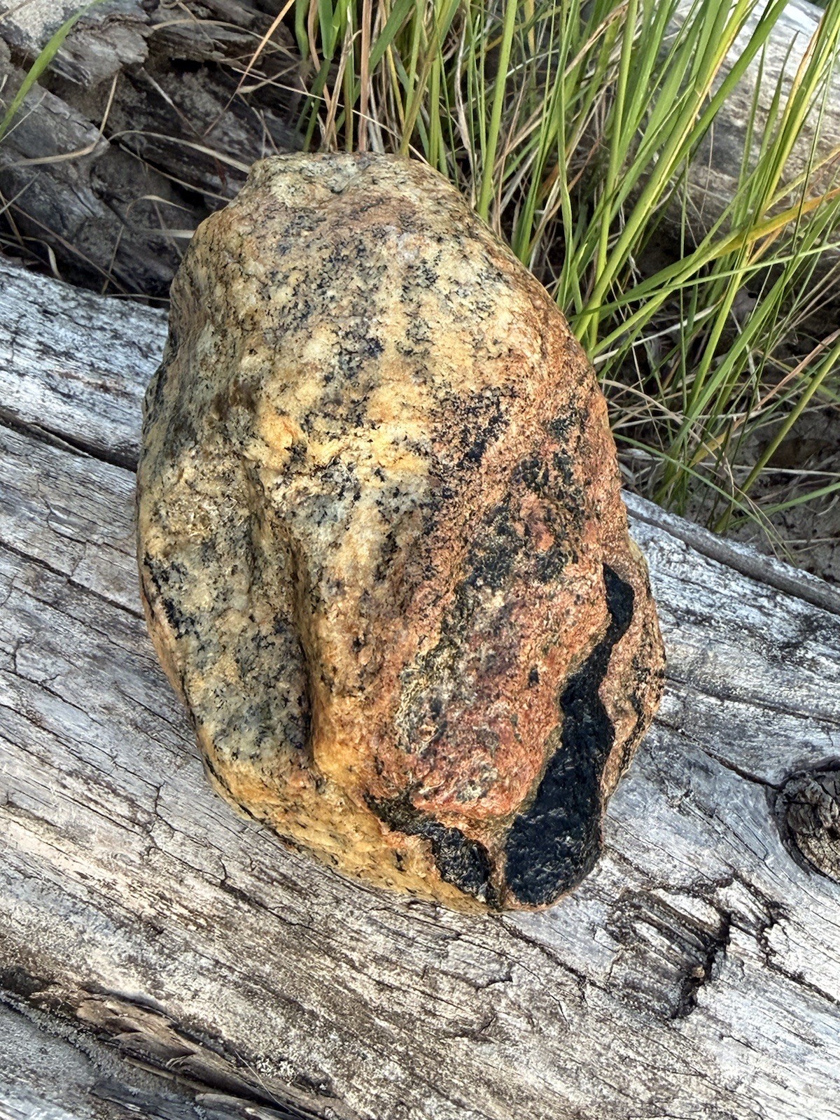 Natural Lake Michigan Rock Granite Large LOOK! 👀 3lb+ READ CAREFULLY