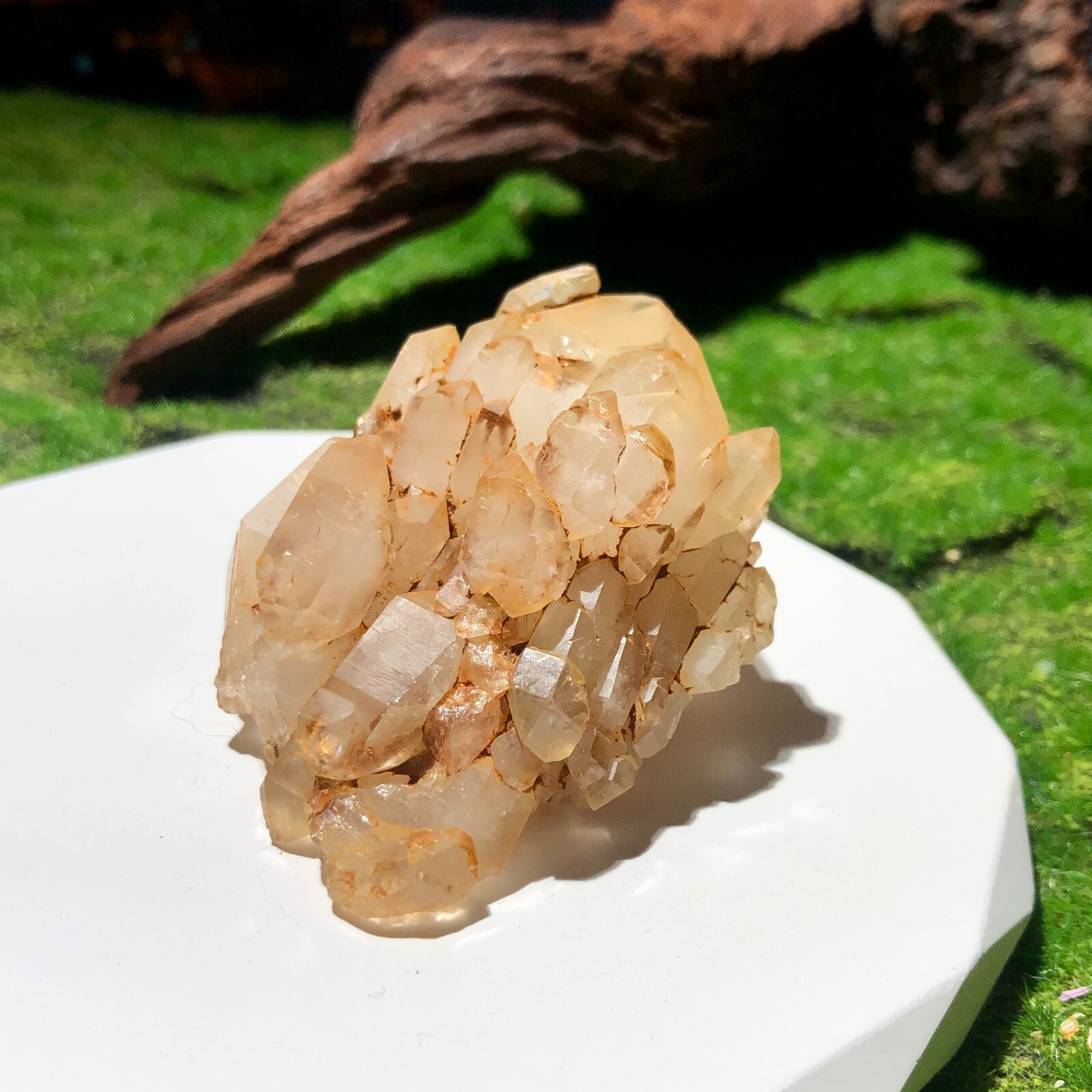 Brazil Elestial Quartz Skeletal Quartz Natural Crystal Healing 7×4.5cm