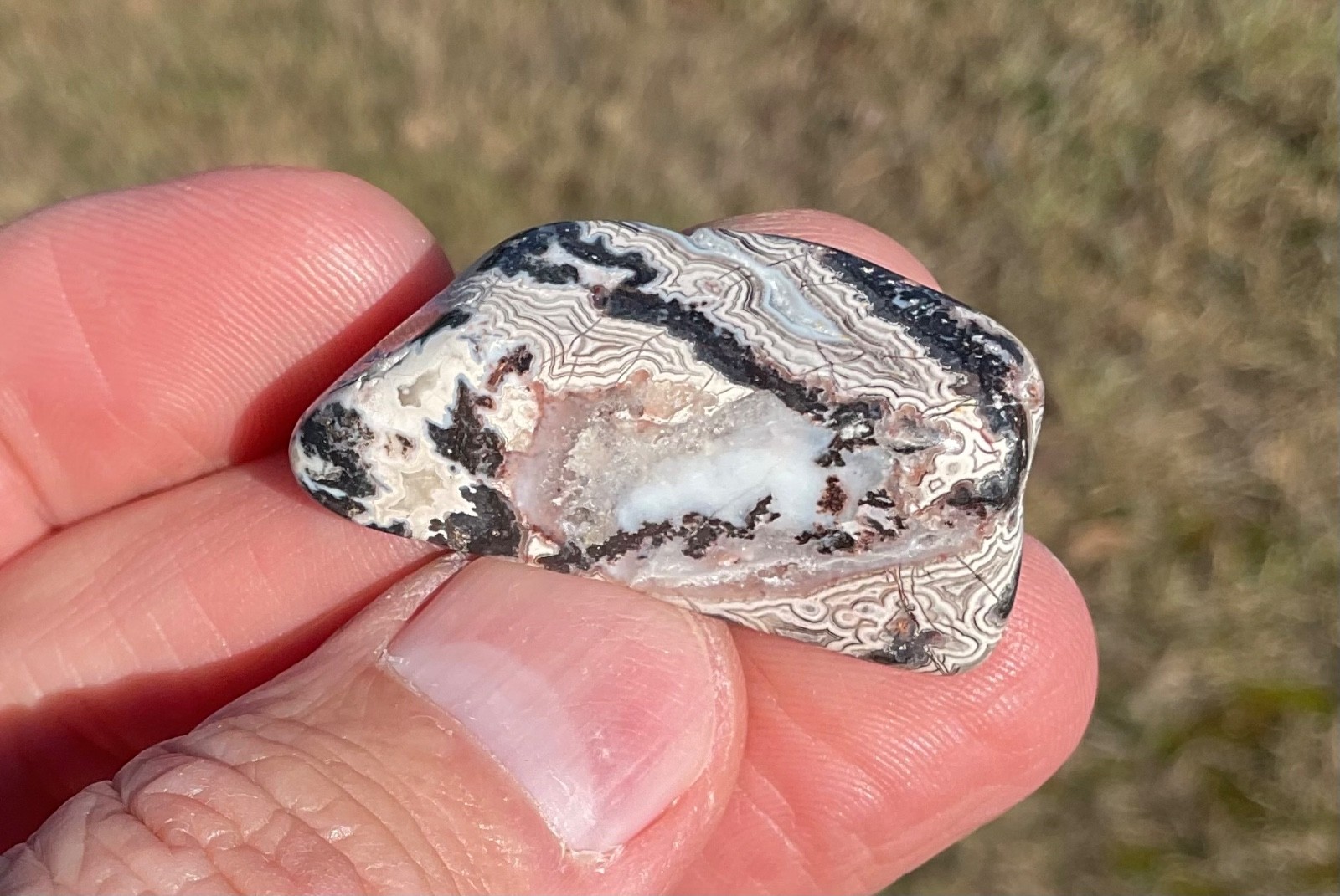 Polished Crazy Lace Agate Cabochon Preform Lapidary Gemstone High Grade