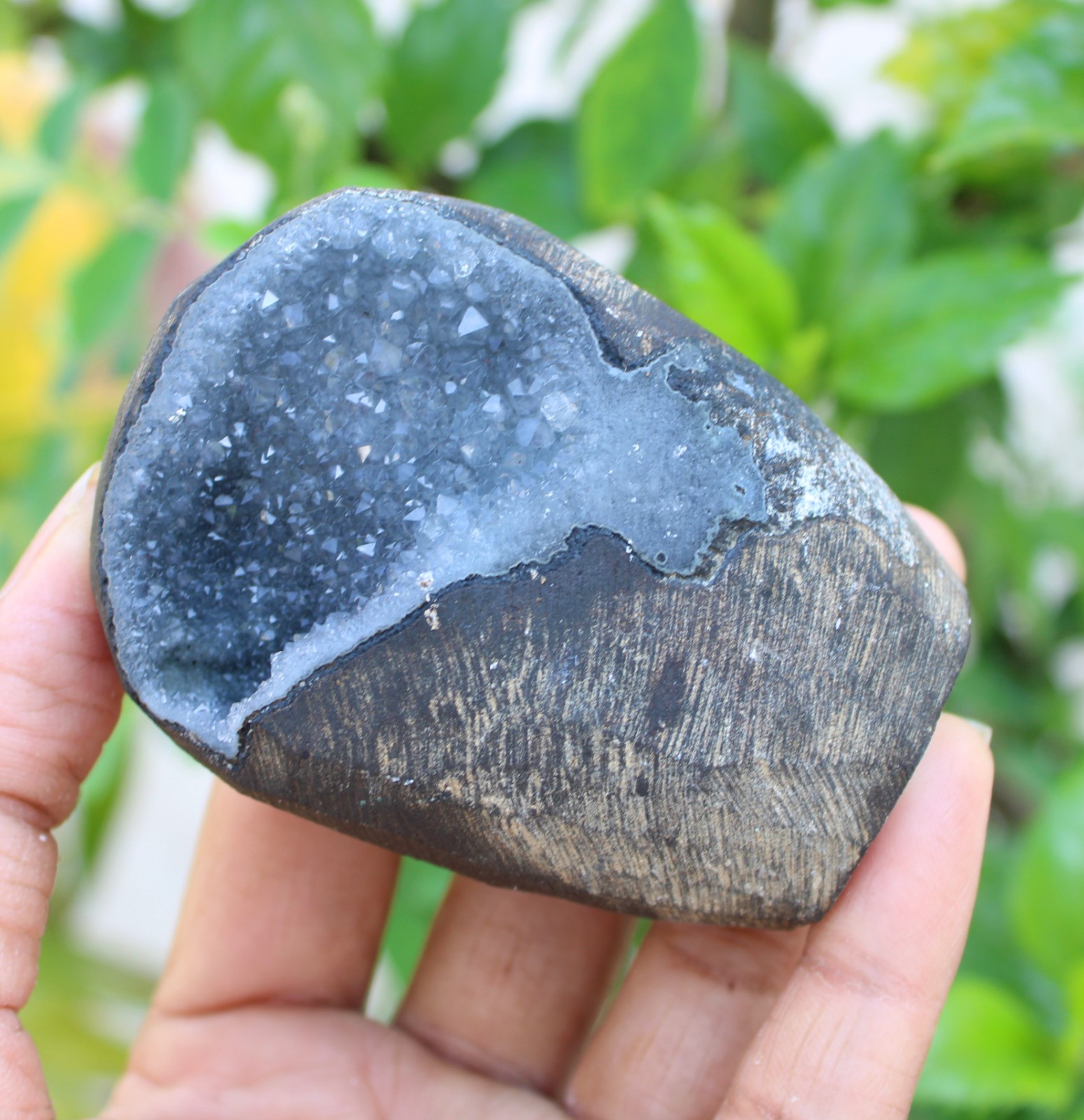 chalcedony coral geode minerals specimen #A43