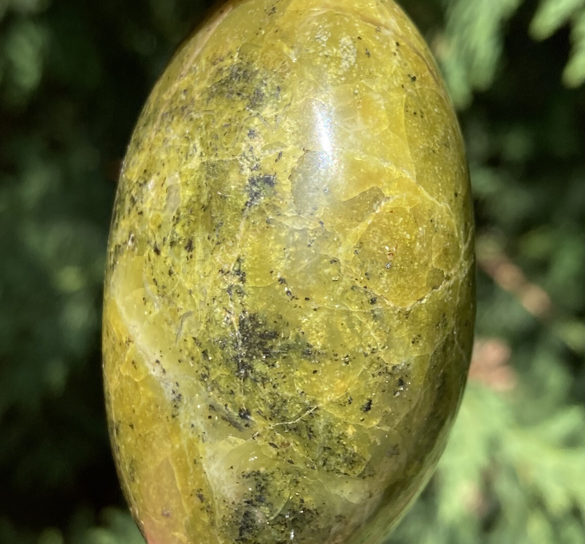 Handmade Polished GREEN OPAL Healing Crystal Palm Stone Pebble MADAGASCAR 2.28″