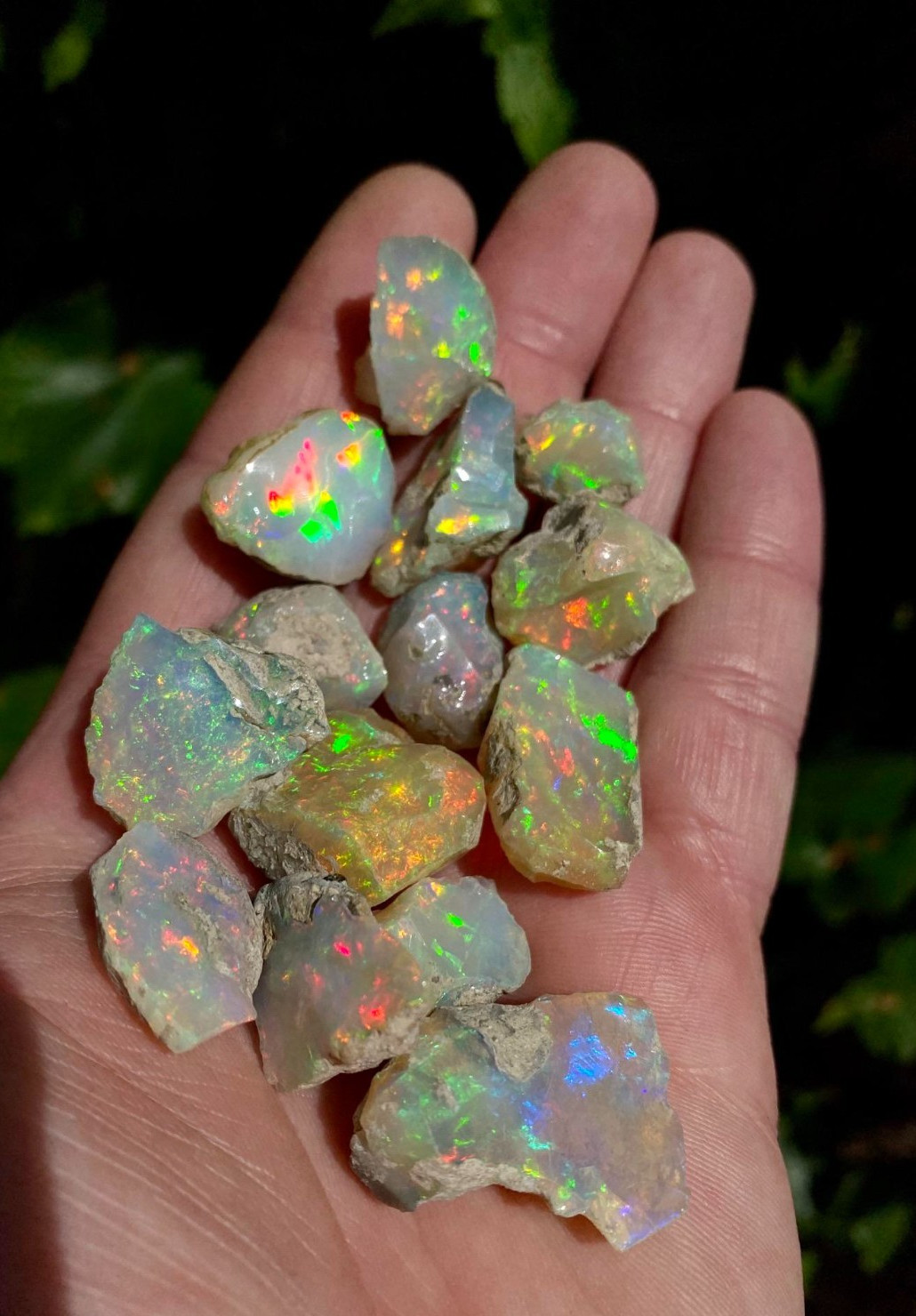 25Ct Natural Ethiopian Jumbo Welo Fire Opal Rough Specimen Gemstone 10 Pcs Lot