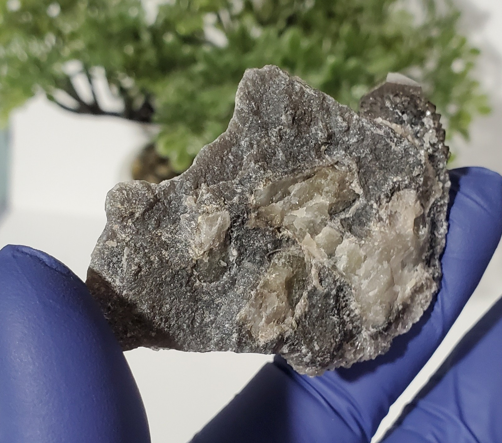 Black Spirit Quartz Cluster Specimen (Fairy Quartz) South Africa 34g