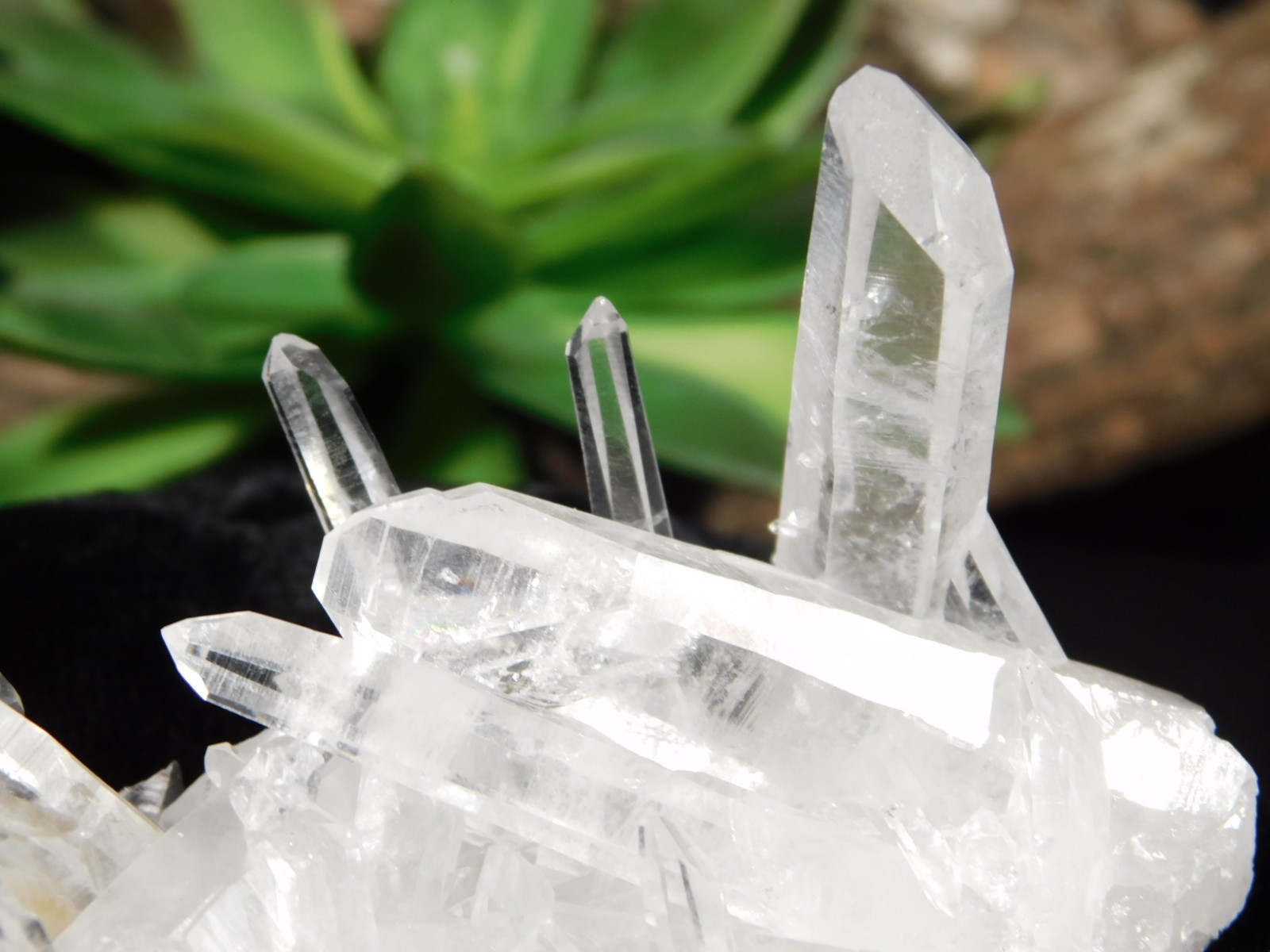 VERY TRANSLUCENT! Quartz Crystal Cluster Collier Creek ARKANSAS 61.5gr