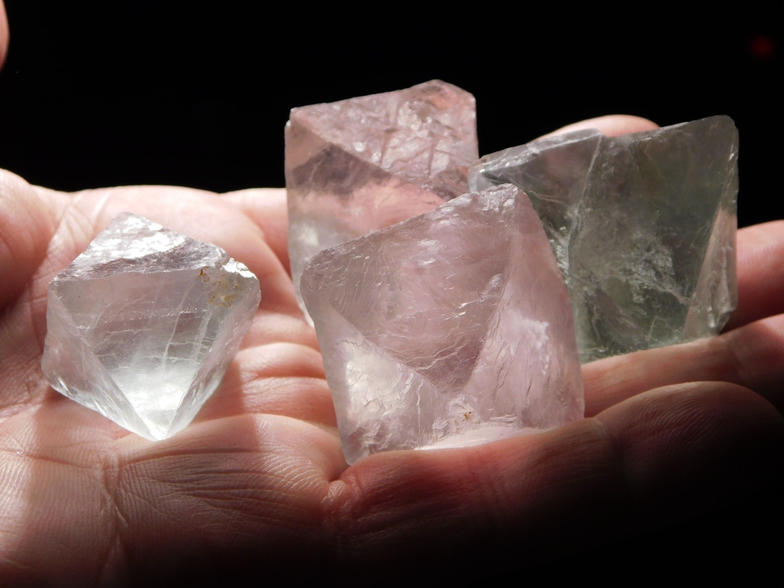 Lot of FOUR! AAA Fluorescent Semi Translucent FLUORITE Octahedron Crystals 188gr
