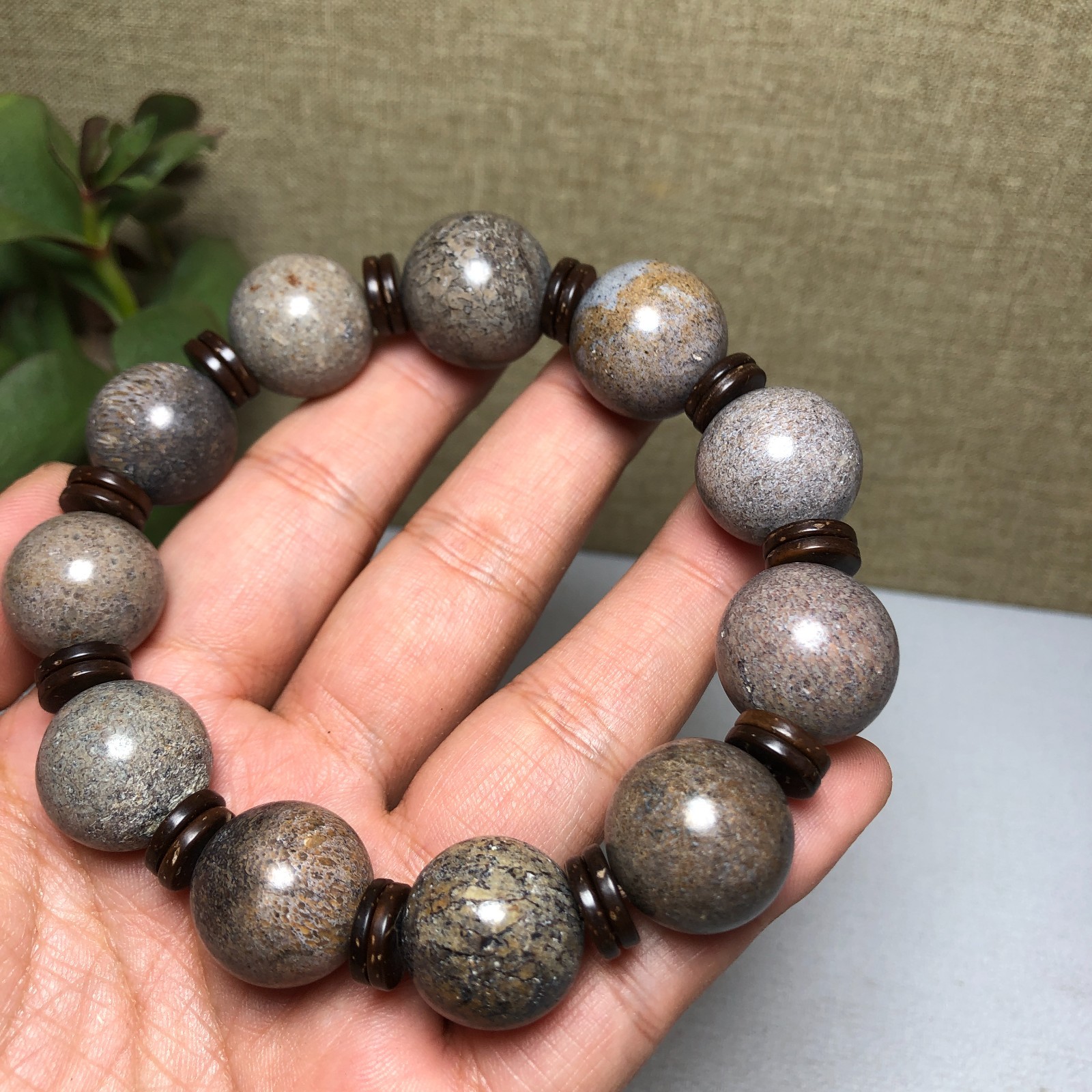 Top! Natural polished dinosaur bone bracelets specimen Madagascar 18mm A1005