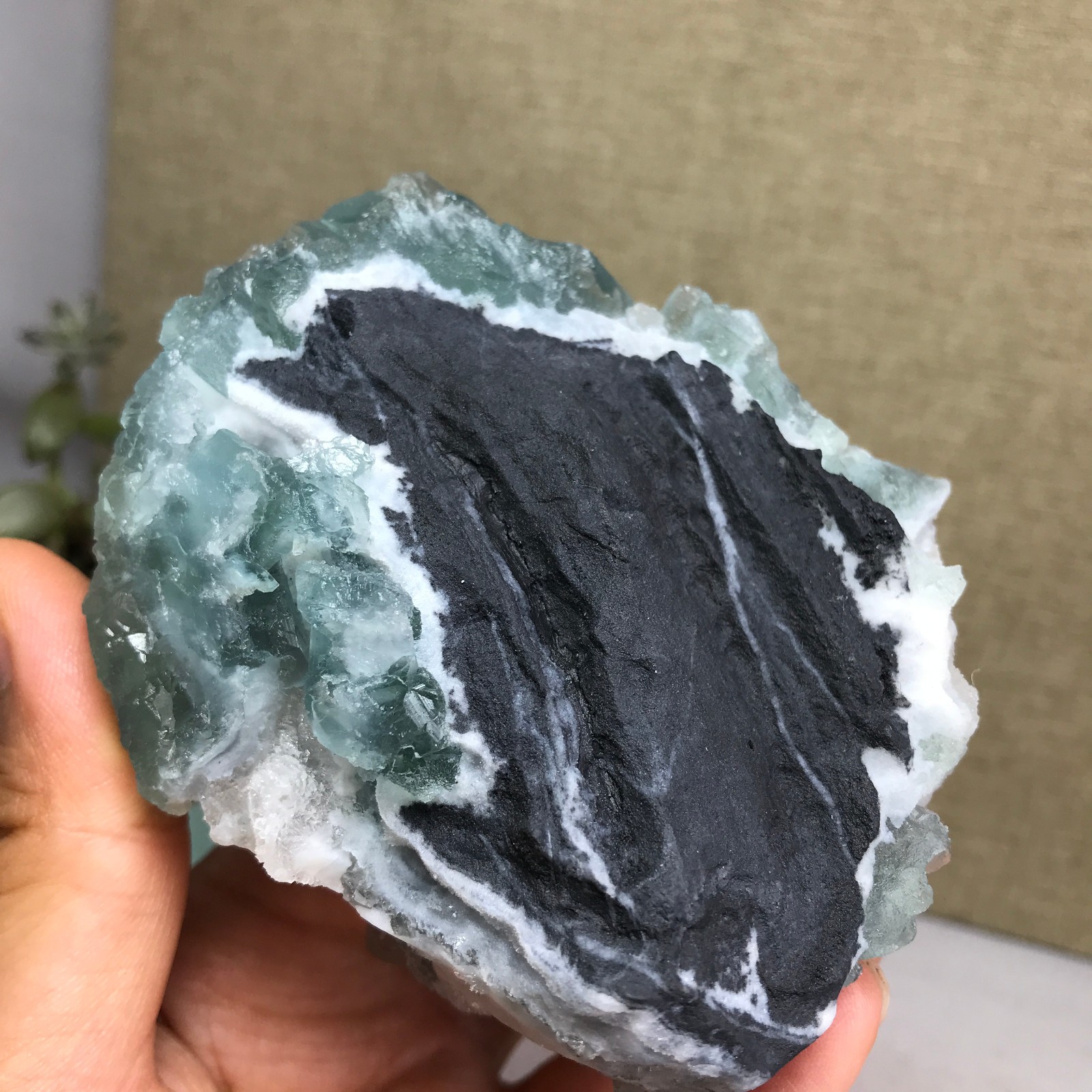 271g NATURAL Green Cubic FLUORITE paragenesis Crystal Cluster Specimen A4776
