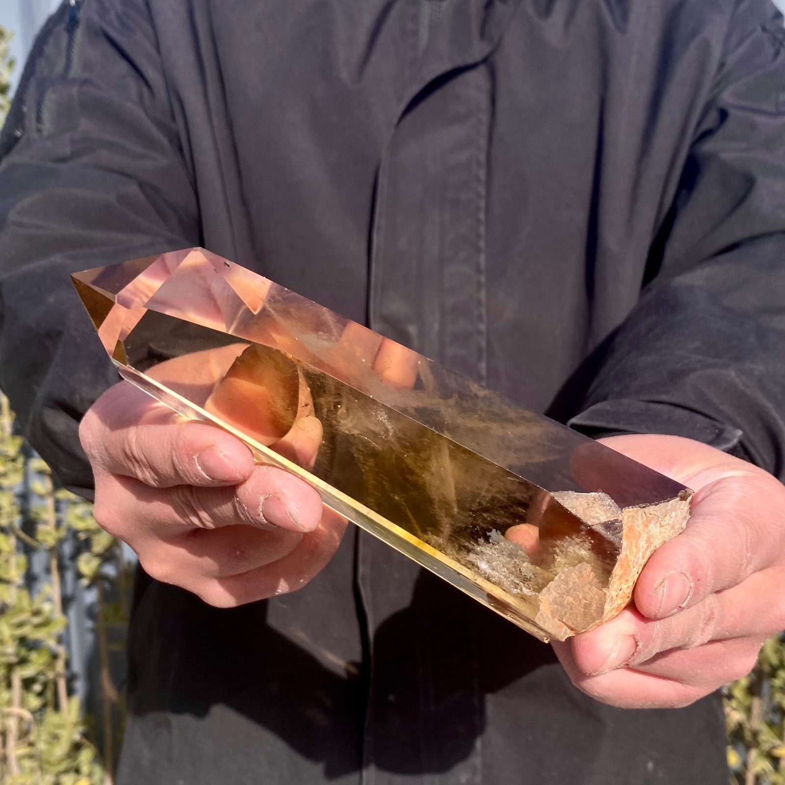 539G Natural Citrine backbone cluster mineral specimen quartz crystal healing