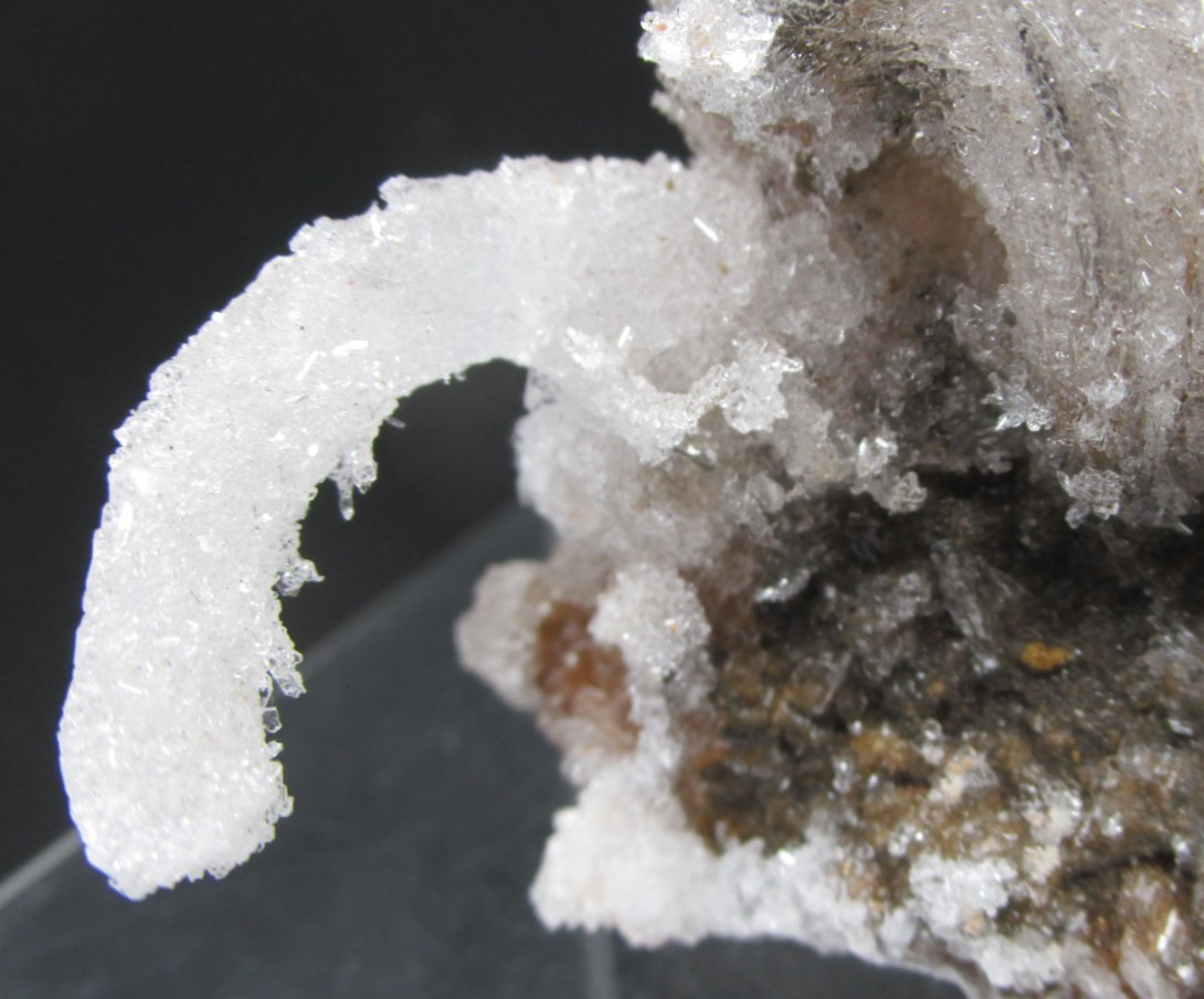 Awsome Frozen Kraken Ram’s Horn Selenite Mineral Specimen Morocco