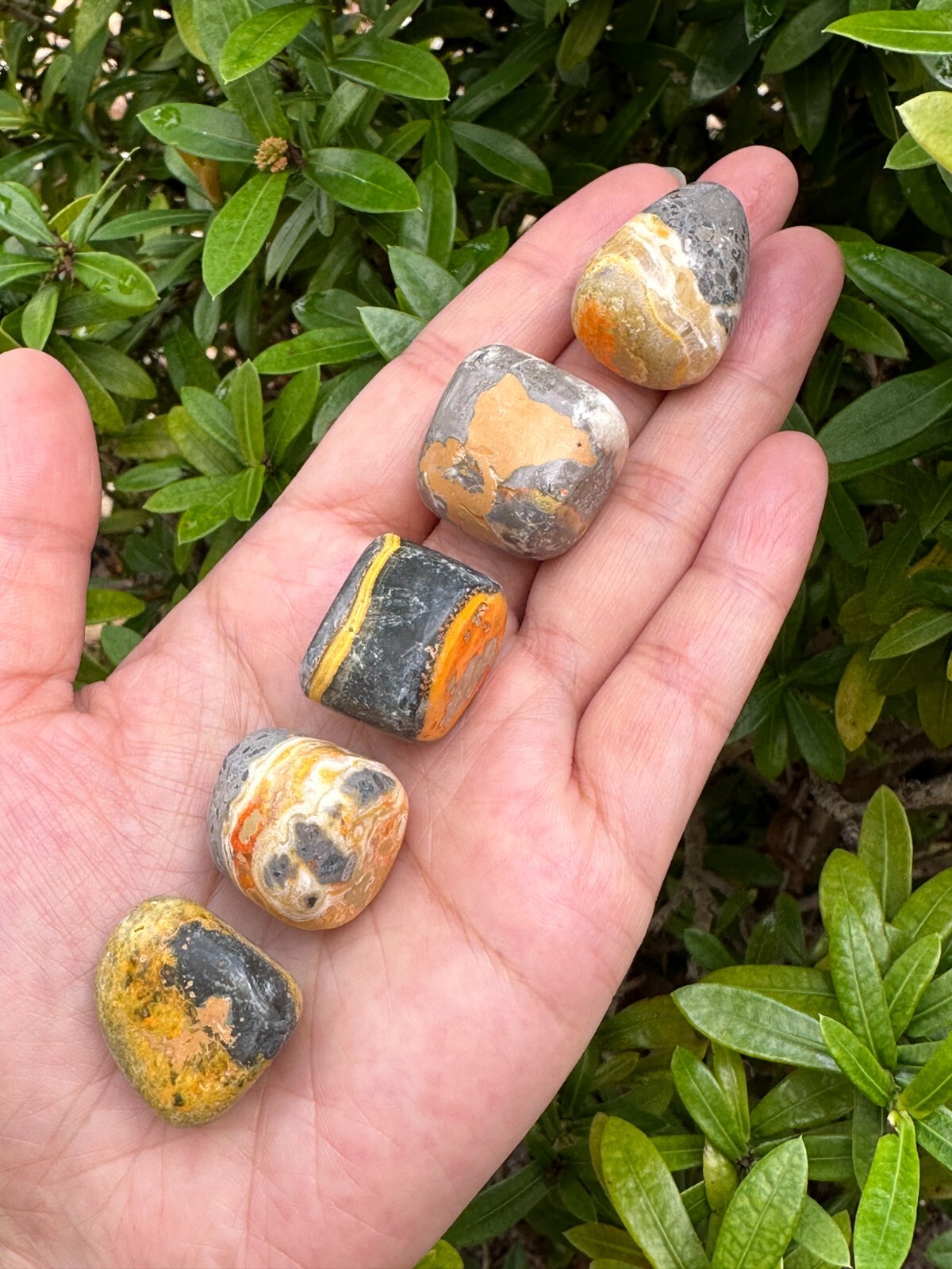 Grade A++ Bumblebee Jasper Tumbled Stones, 0.85-1″ Tumbled Bumblebee Jasper