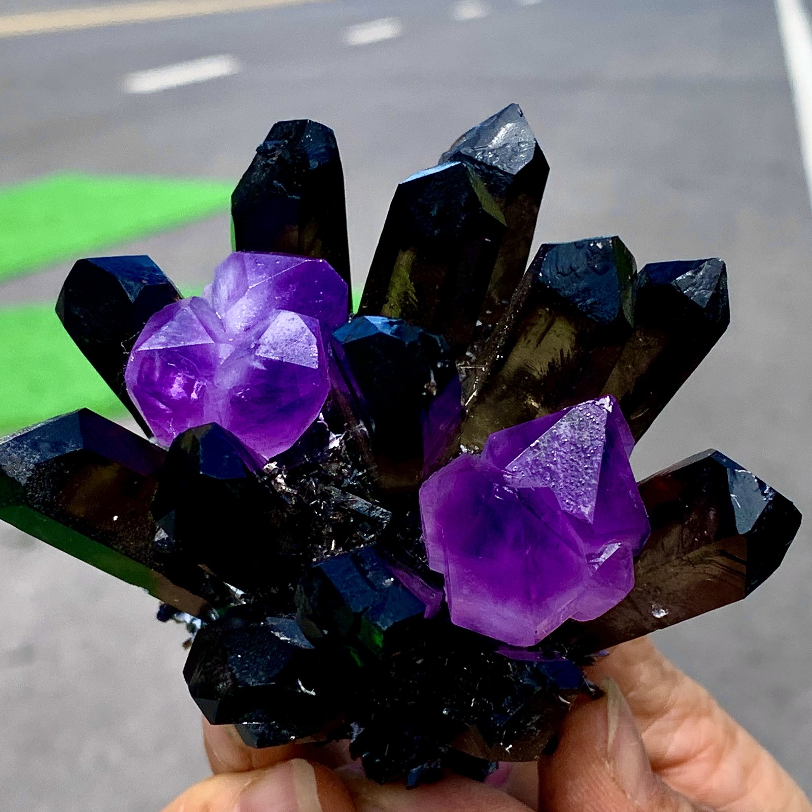 268G New Find black+purple Phantom Quartz Crystal Cluster Mineral Specimen