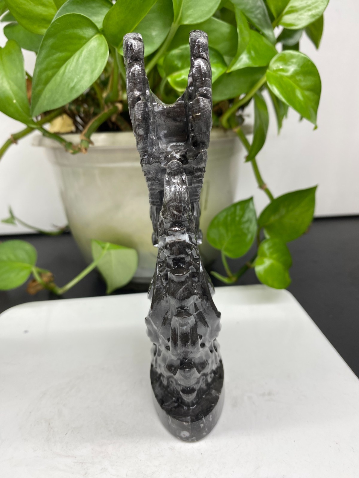 5.9” Natural Mixed Quartz Carved Crystal phoenix skull reiki Decor random 1pc