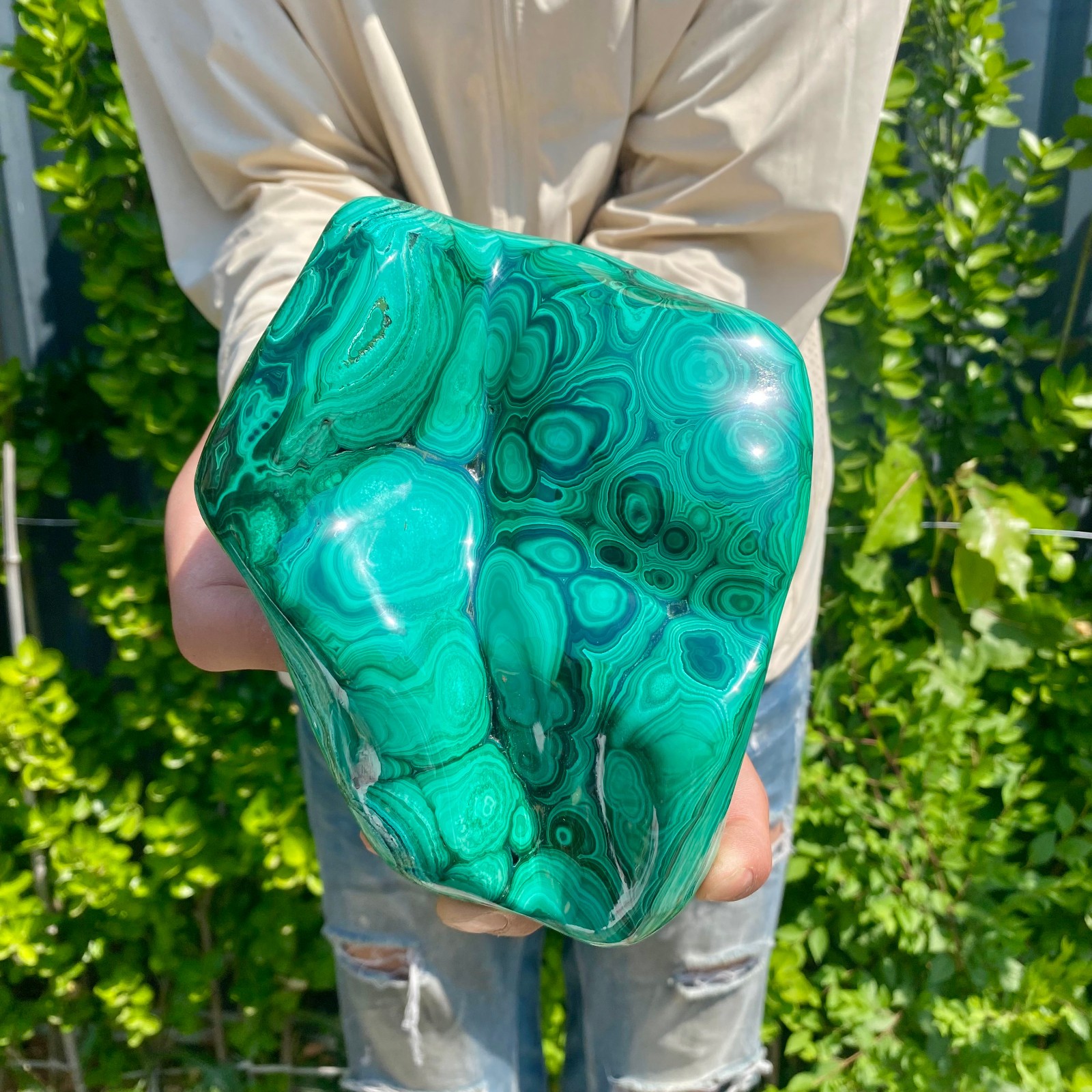 4.54LB Natural glossy Malachite transparent cluster rough mineral sample
