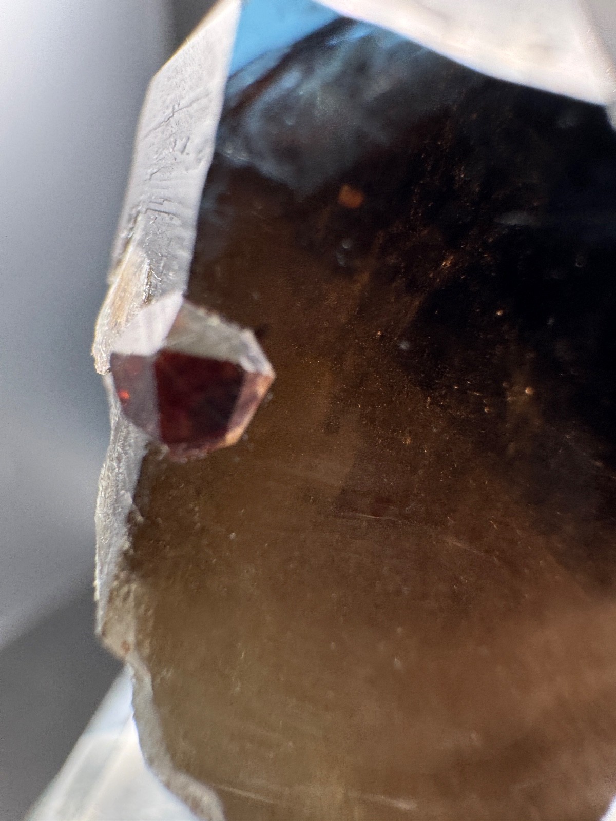 6178 Smoky Quartz Point with Red Garnets and Garnet Inclusions 34g Fu Jian
