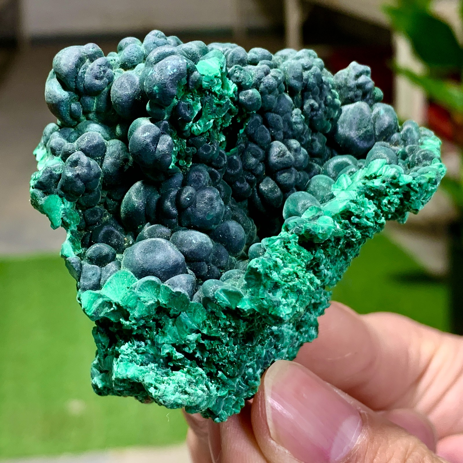 205G Natural glossy malachite cat eye transparent cluster rough mineral Sample