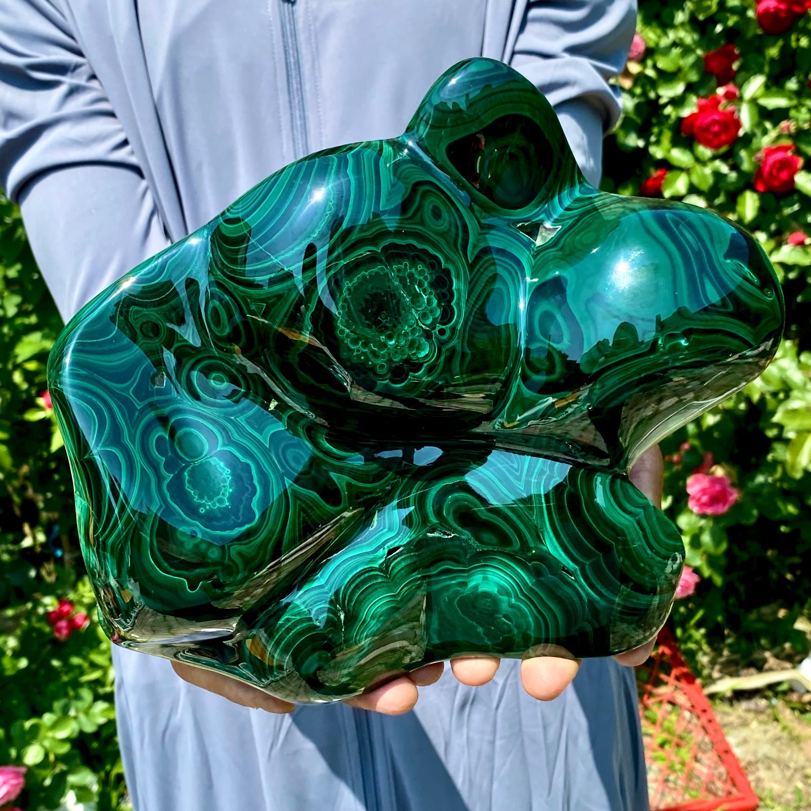 12LB Natural glossy Malachite egg transparent cluster rough mineral sample