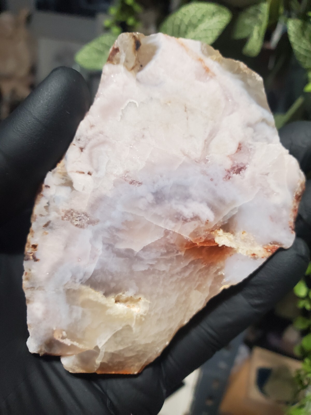 124g Beautiful Flower Agate Slice Slab Crystal Quartz Energy Healing Crystal