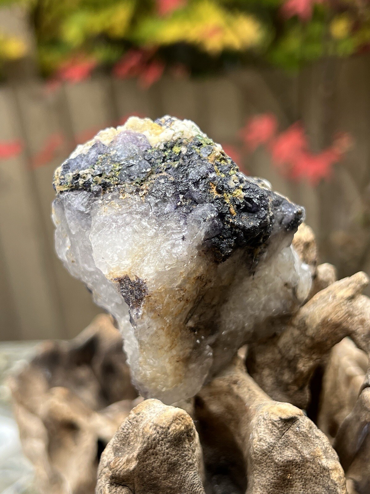 Blue John Fluorite Mineral Specimen United Kingdom 240g 17