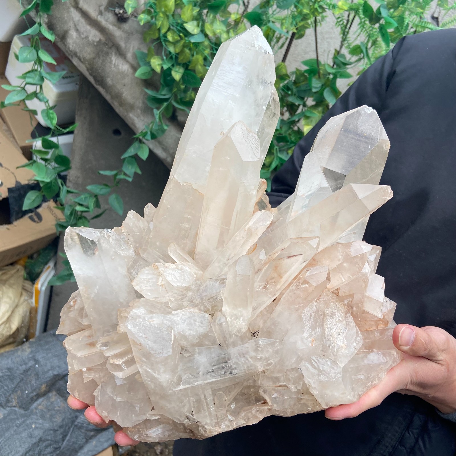 29.9lb Natural Clear White Crystal Quartz Cluster Rough Healing Specimen