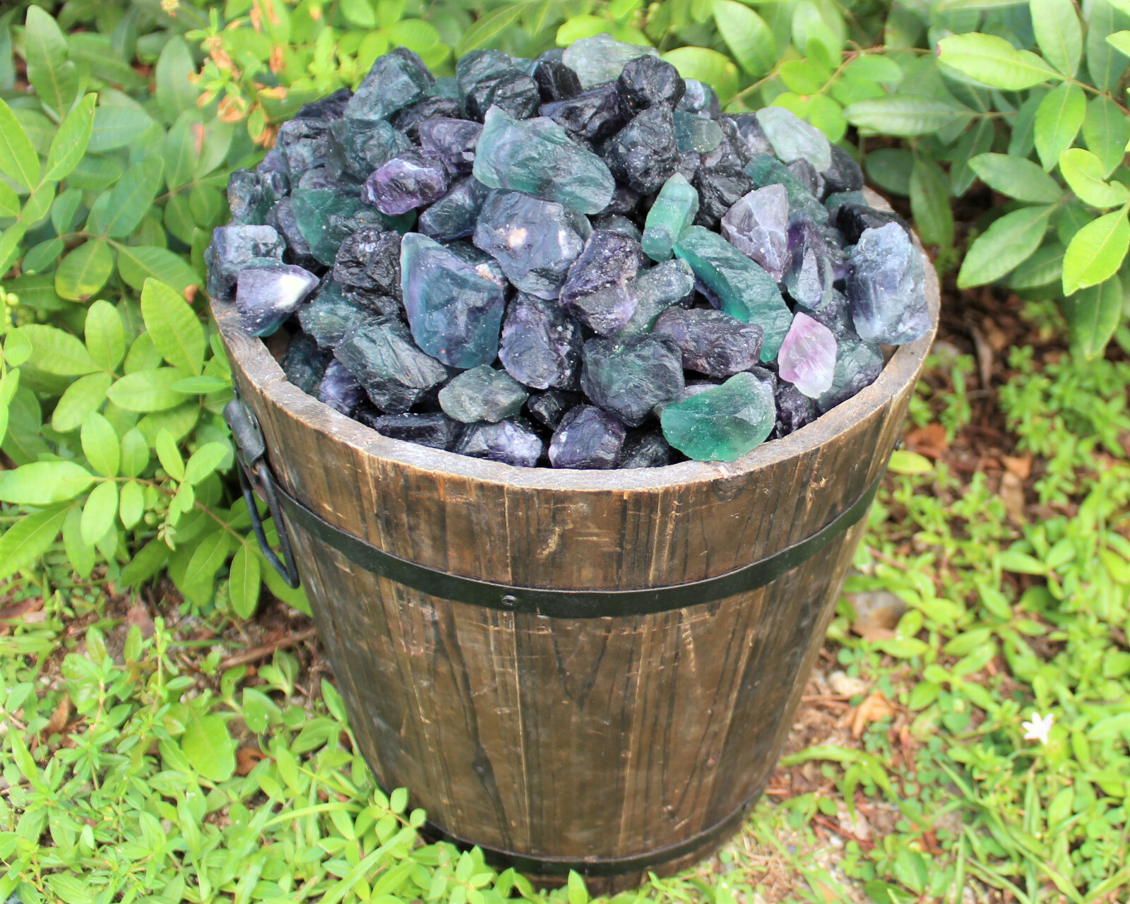 500 Carat Bulk Lot Natural Rough Fluorite (Raw Crystal Rock Healing 100 Grams)