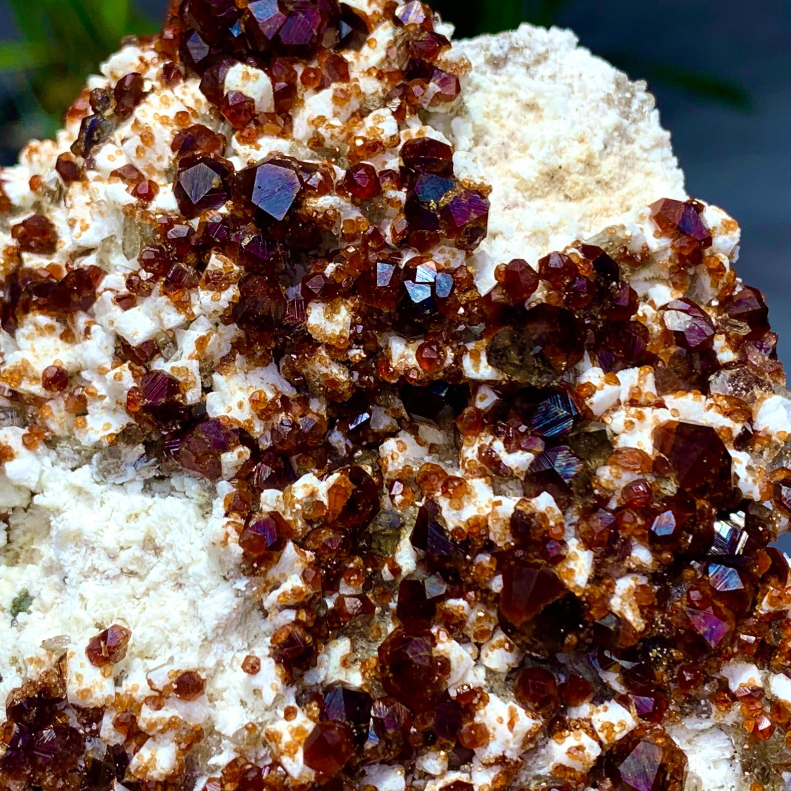 205G Natural Garnet with rock Gorgeous rough raw Crystal Mineral Specimen D32