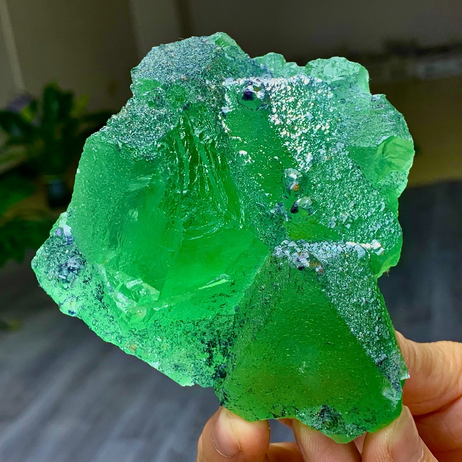 1.24LB Rare transparent green cubic Zhejiang fluorite mineral sample
