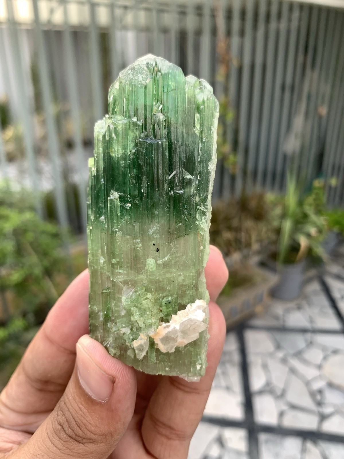 135 Gram Natural Complete Terminations Watermelon Tourmaline Crystal From Afgan