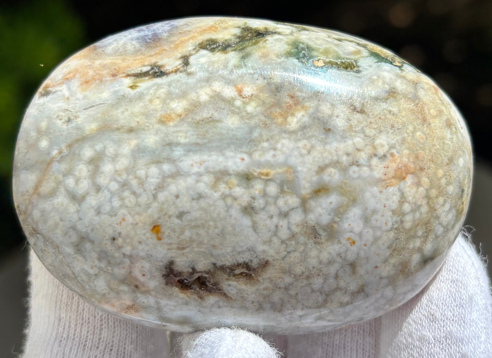 USA SALE 204g LOT OCEAN JASPER OJ PALMSTONE PALM STONES PALM STONE RED VEINLESS
